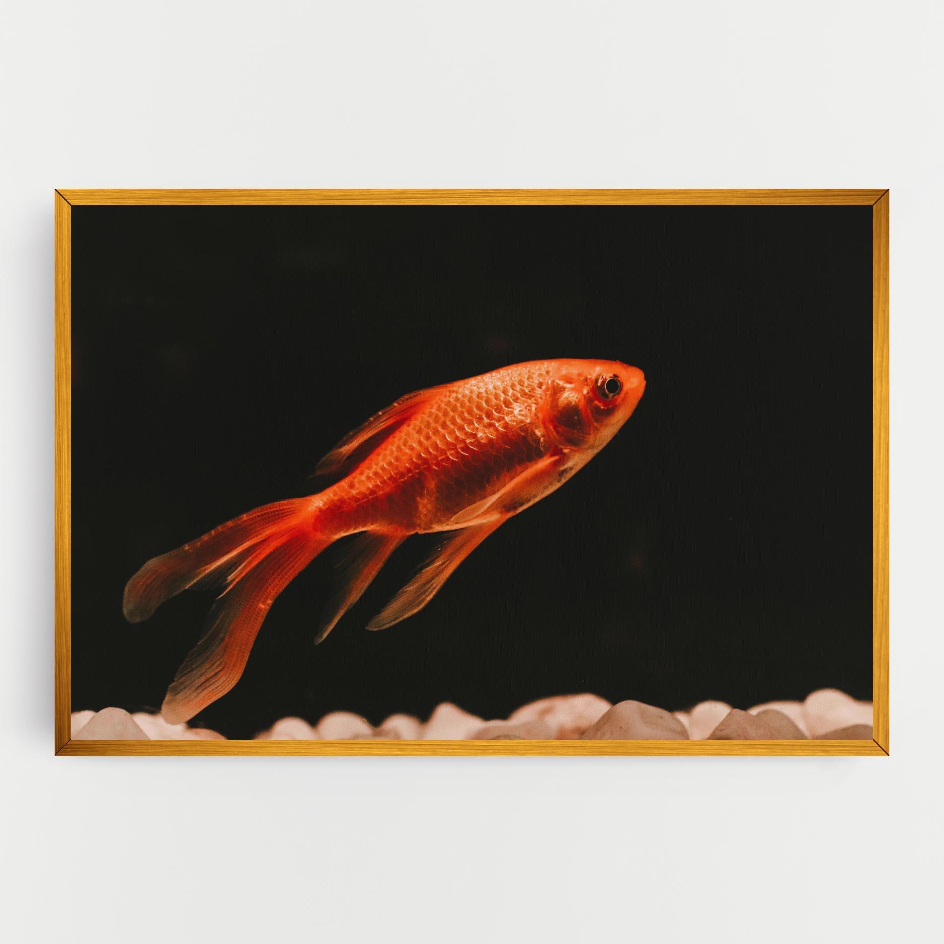 Tablou Canvas Small Orange Fish mockup 0