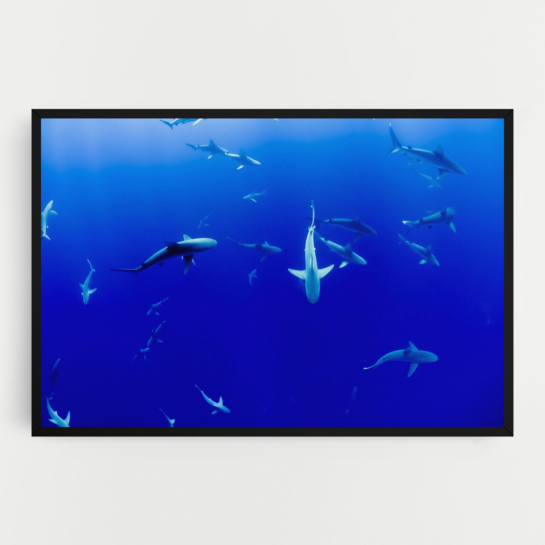 Tablou Canvas Baby Sharks mockup 0