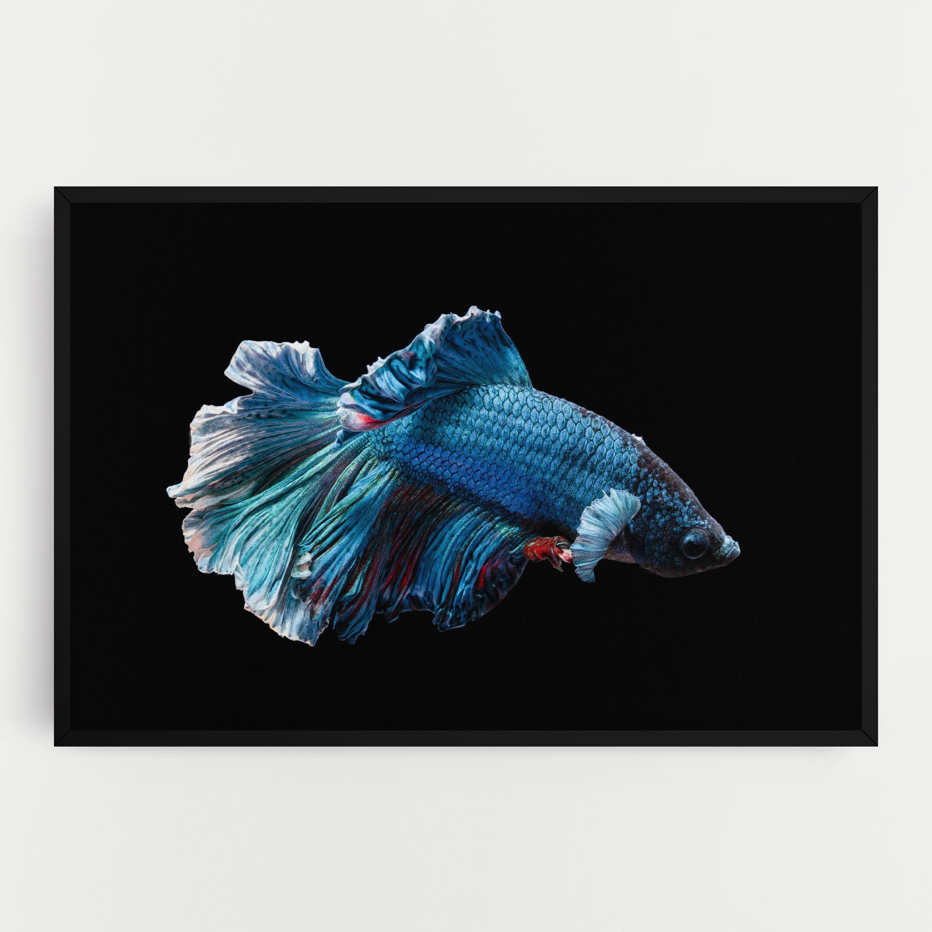 Blue Betta mockup 0