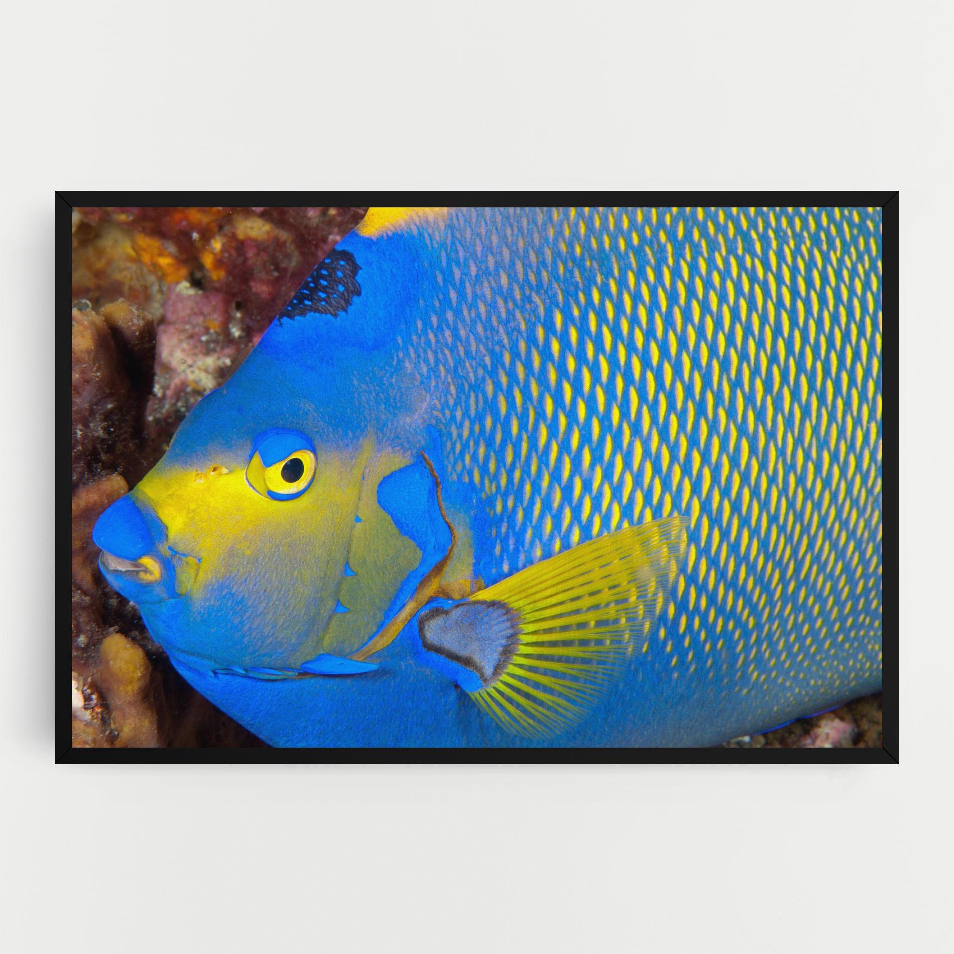 Tablou Canvas Blue Yellow Fish mockup 0