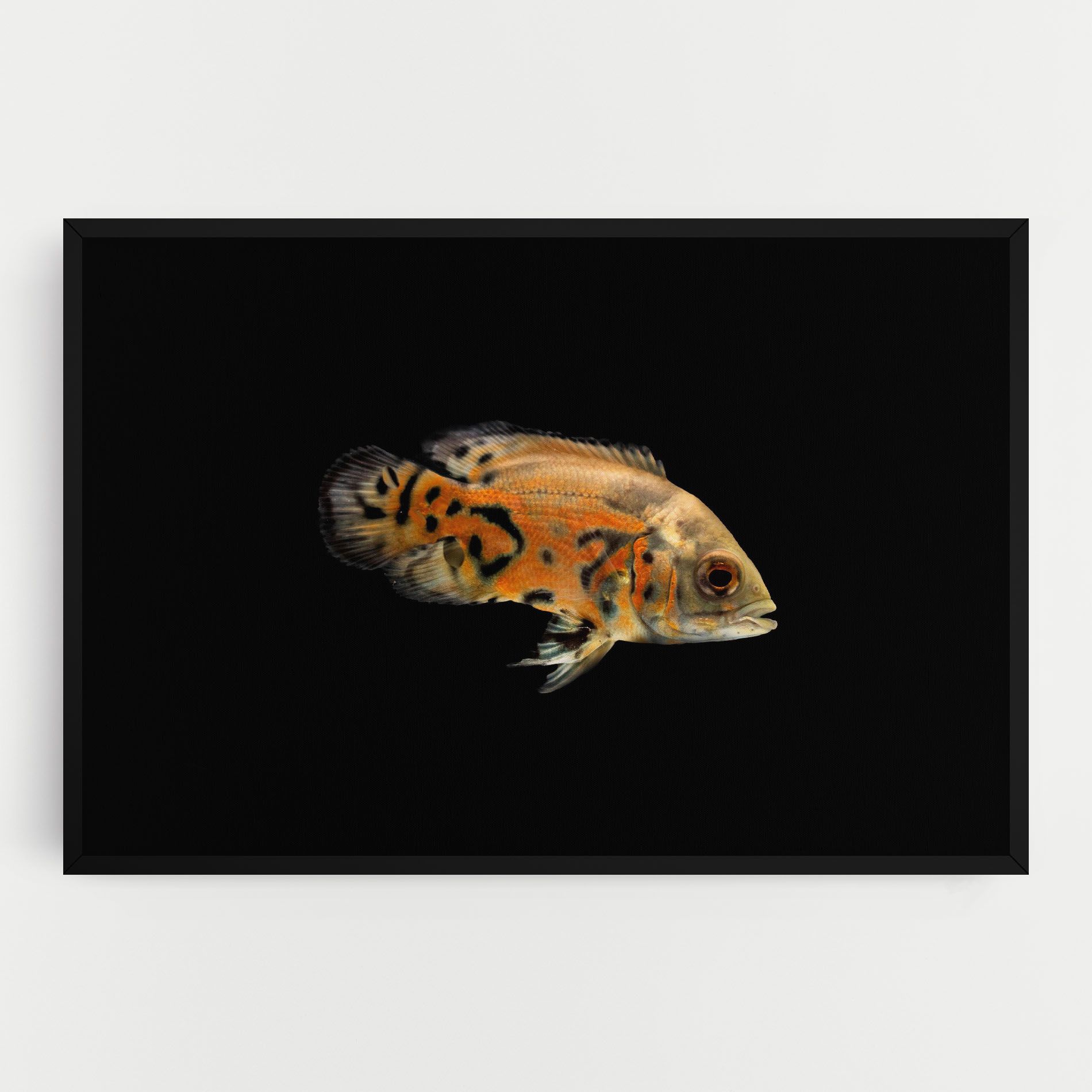 Cute Brown Fish mockup 0