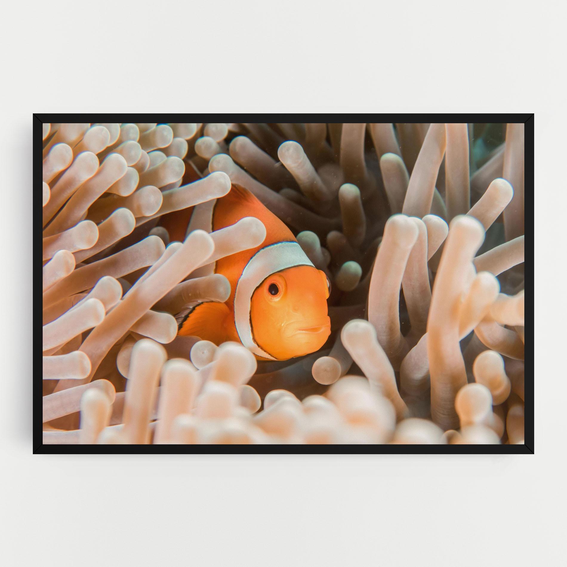 Tablou Canvas Cute Nemo mockup 0