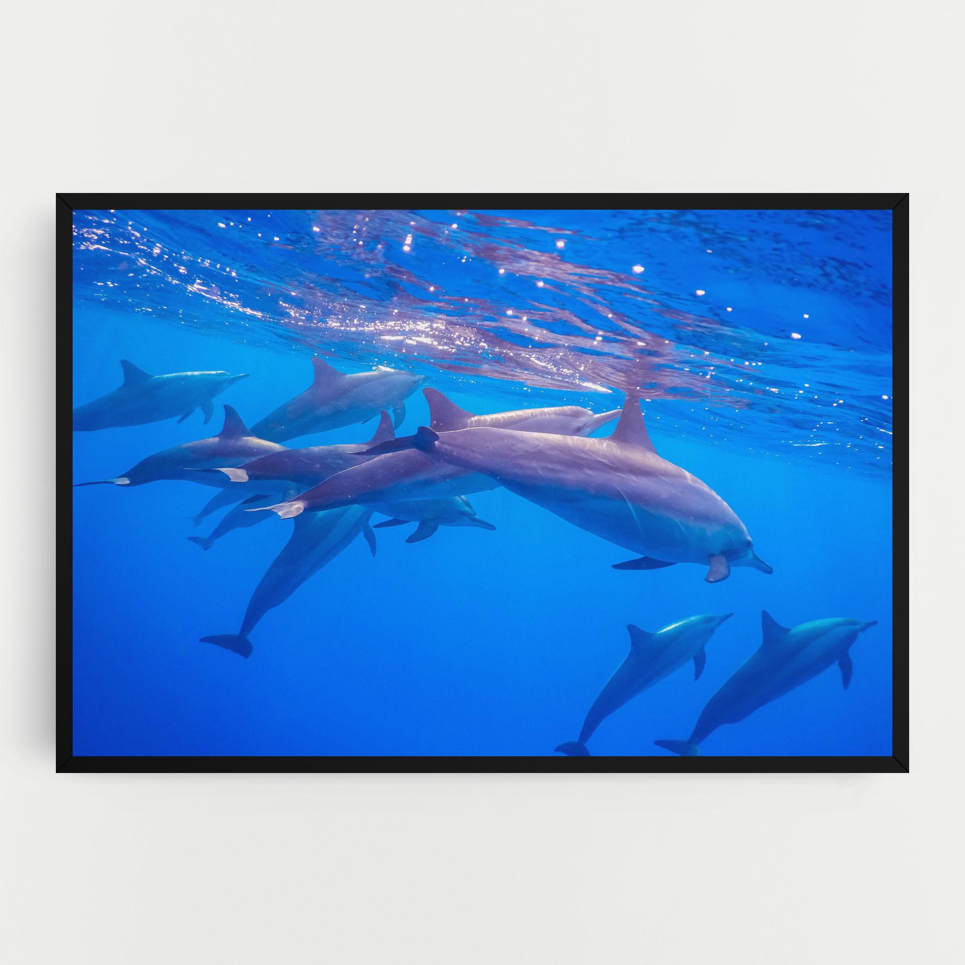 Tablou Canvas Dolphin Family mockup 0