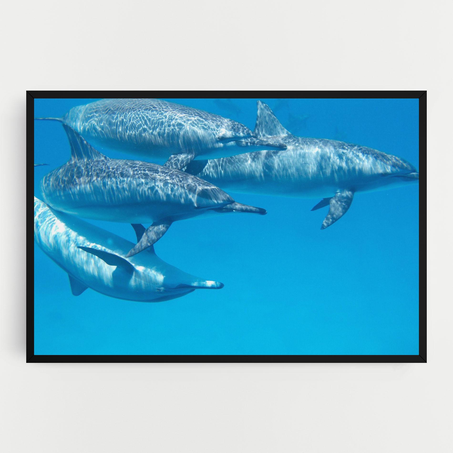 Tablou Canvas Family Of Dolphins mockup 0
