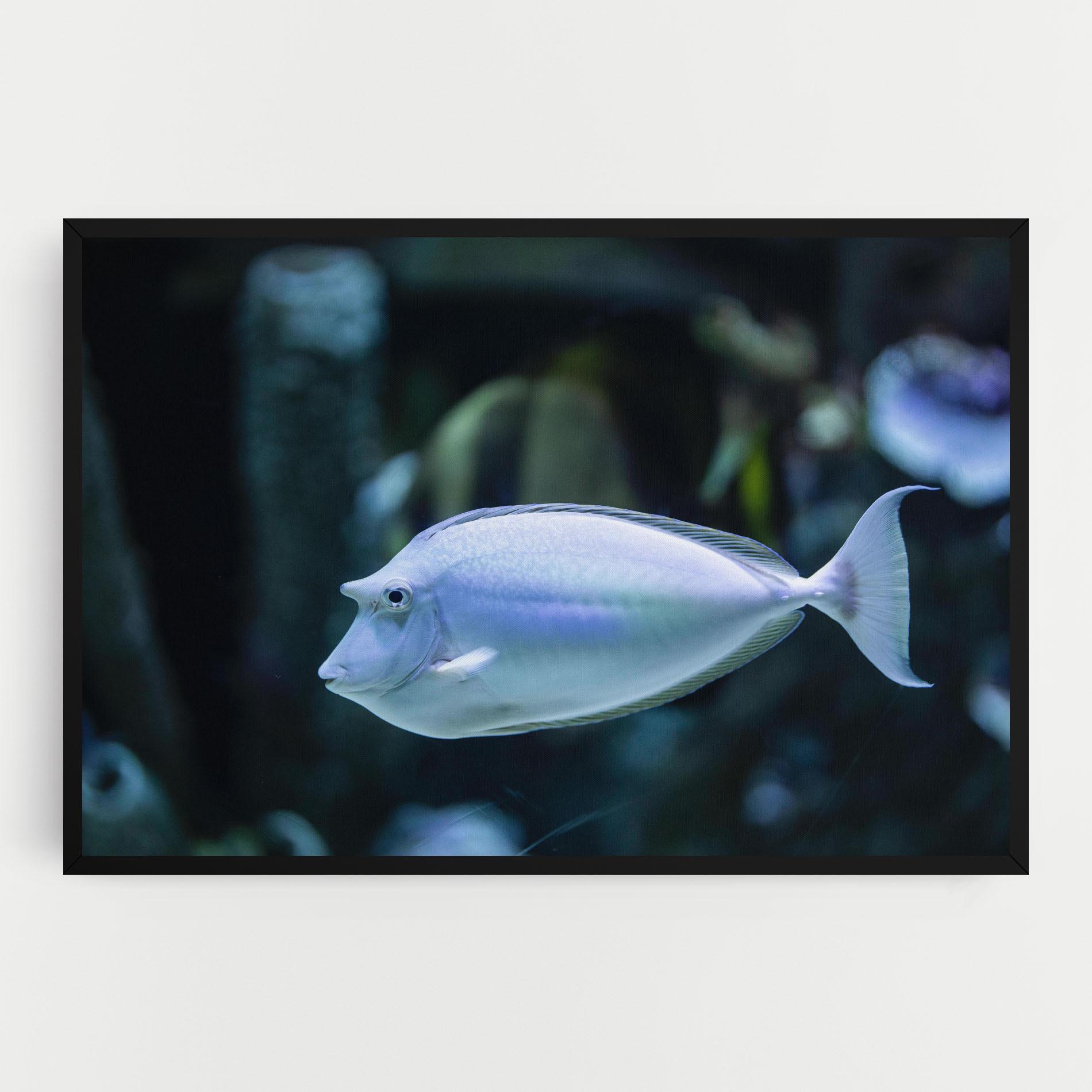 Tablou Canvas Funny Face Fish mockup 0