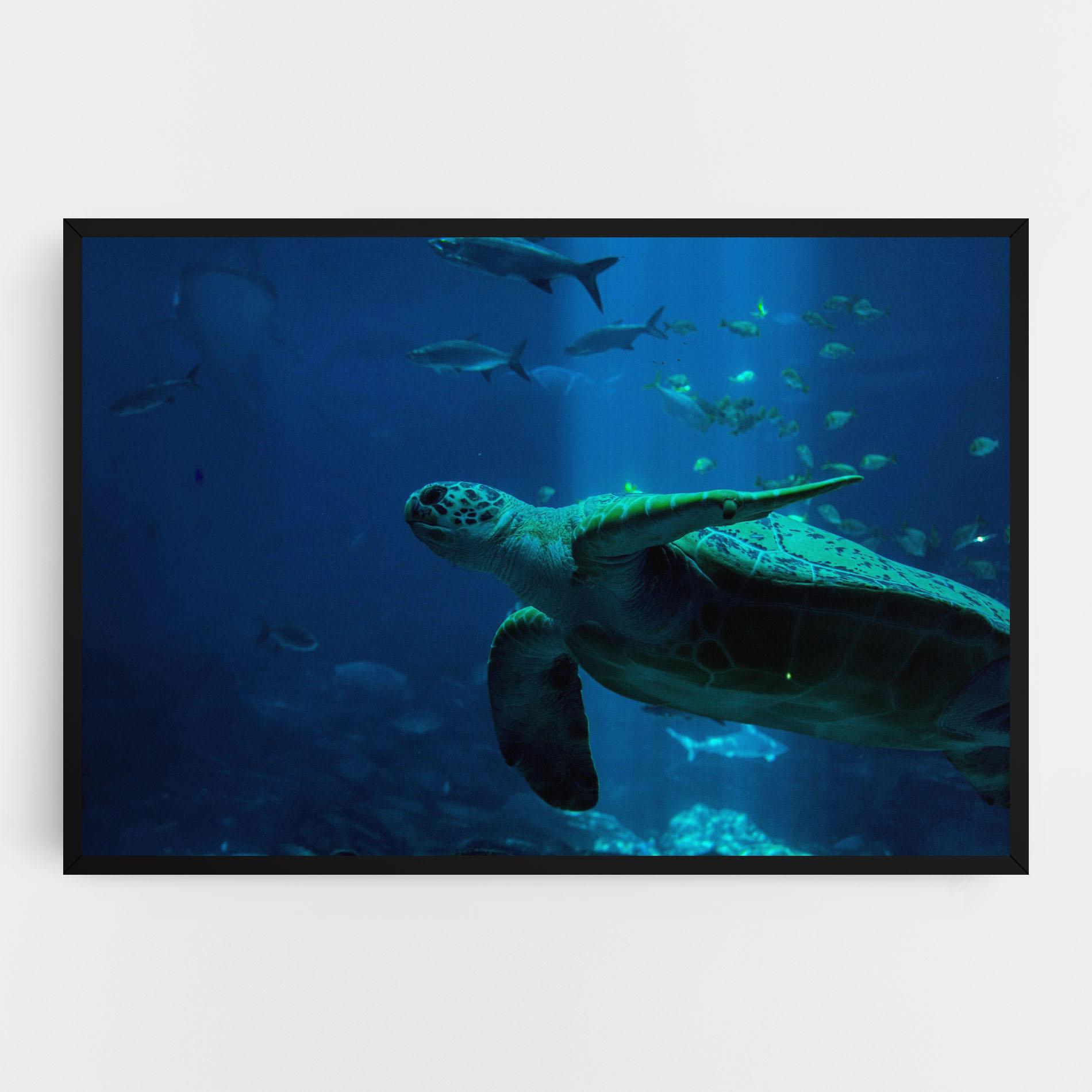 Tablou Canvas Green Turtule mockup 0