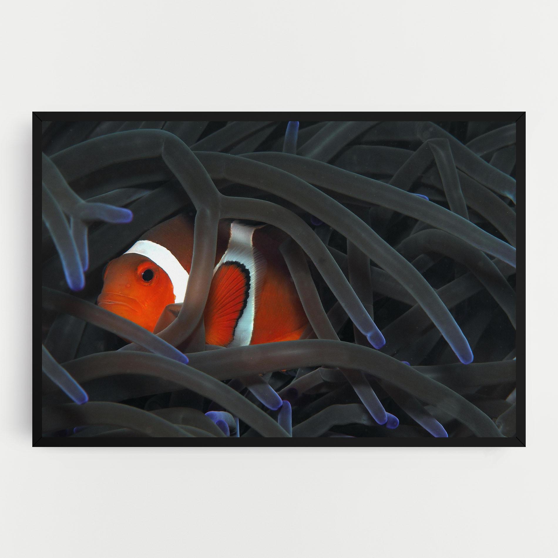 Tablou Canvas Nemo Hiding mockup 0