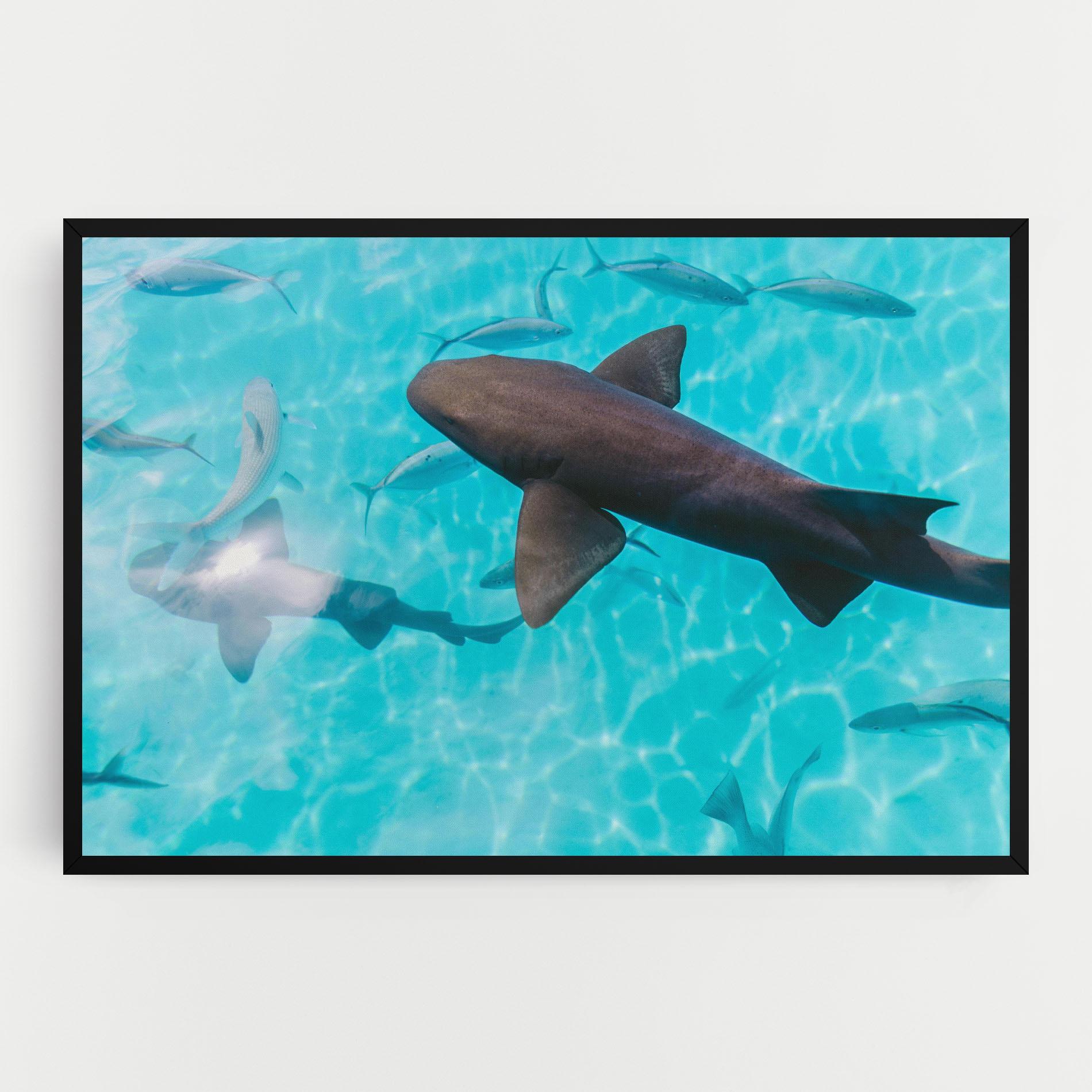 Tablou Canvas Pretty Shark mockup 0