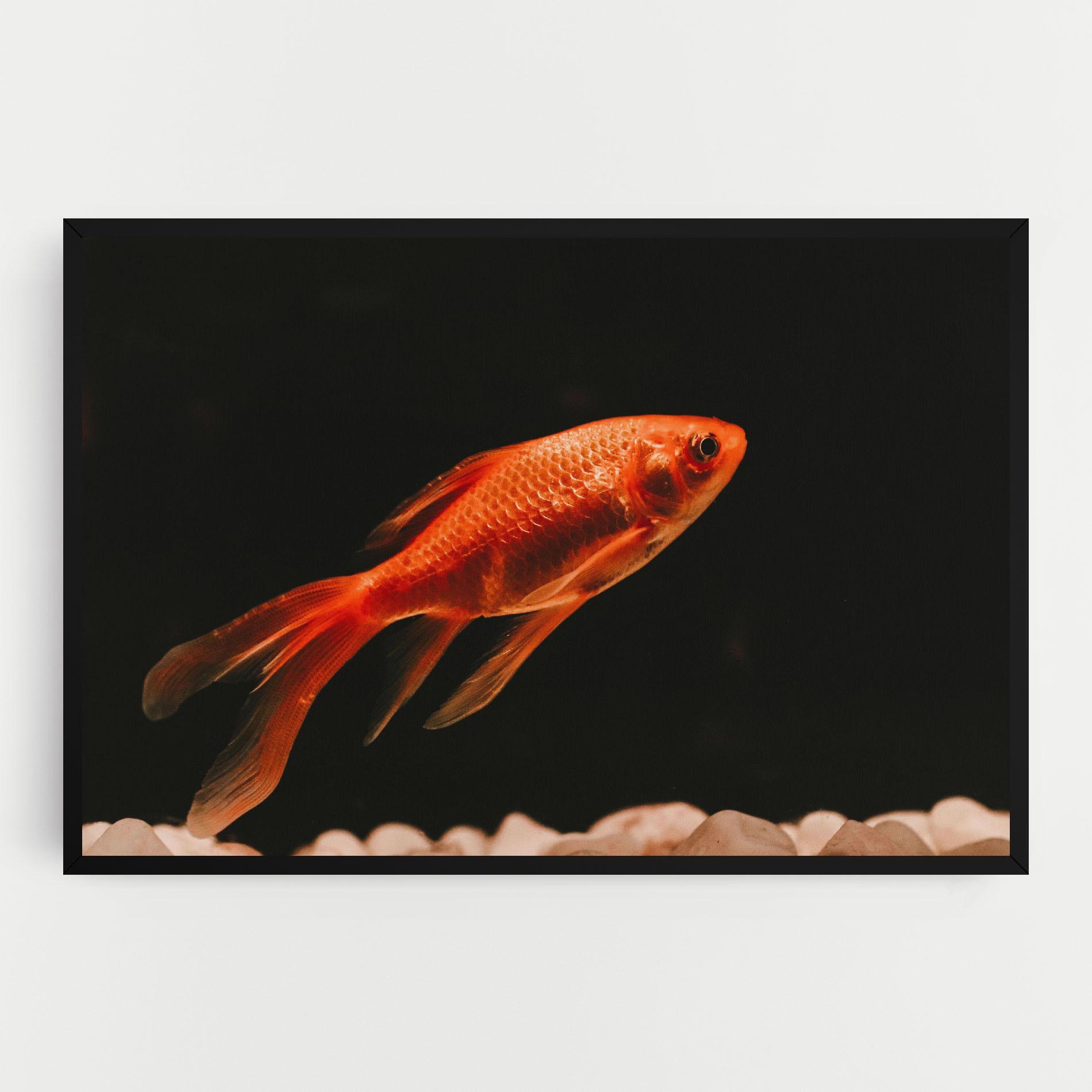 Tablou Canvas Small Orange Fish mockup 0