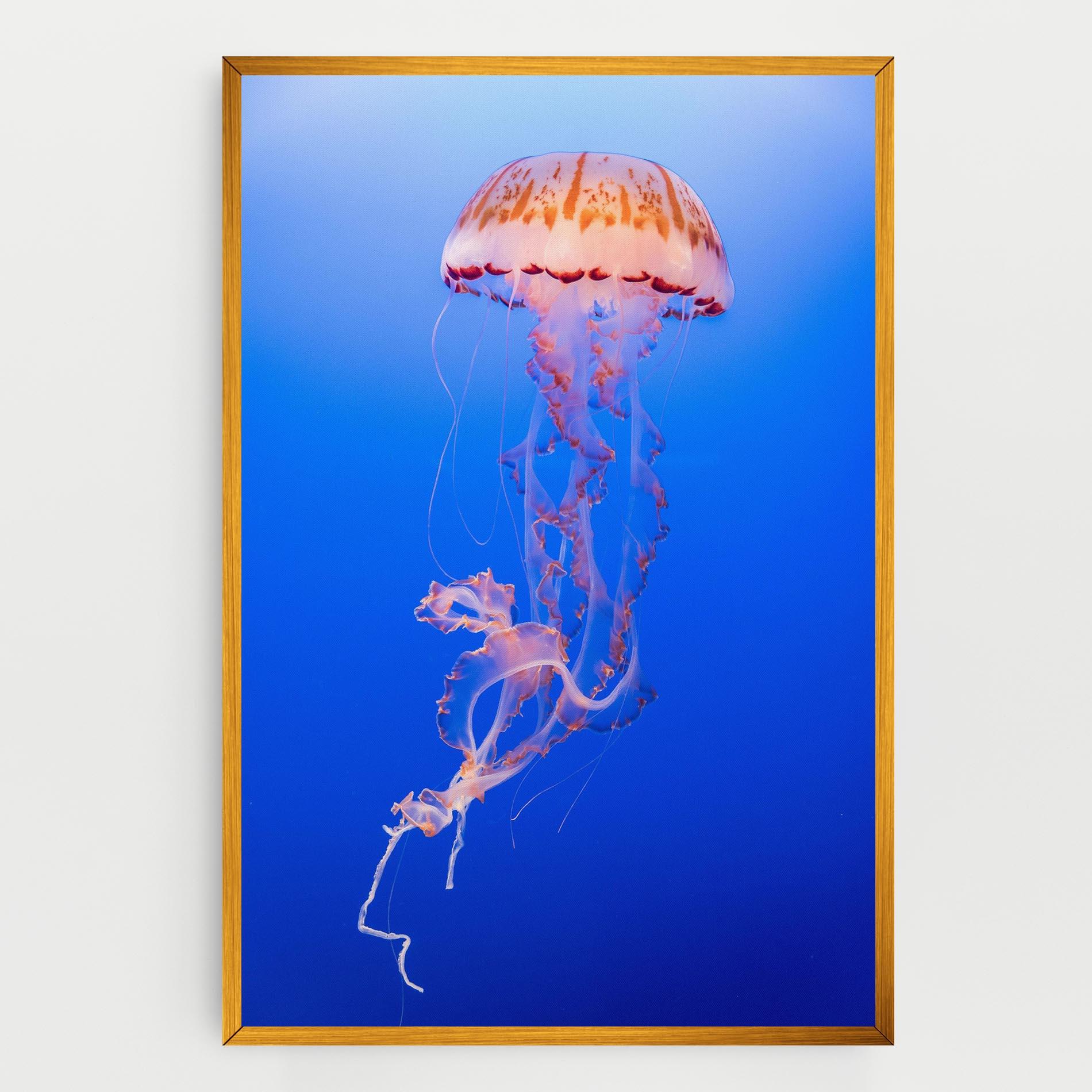 Tablou Canvas Pretty White Jellyfish mockup 0