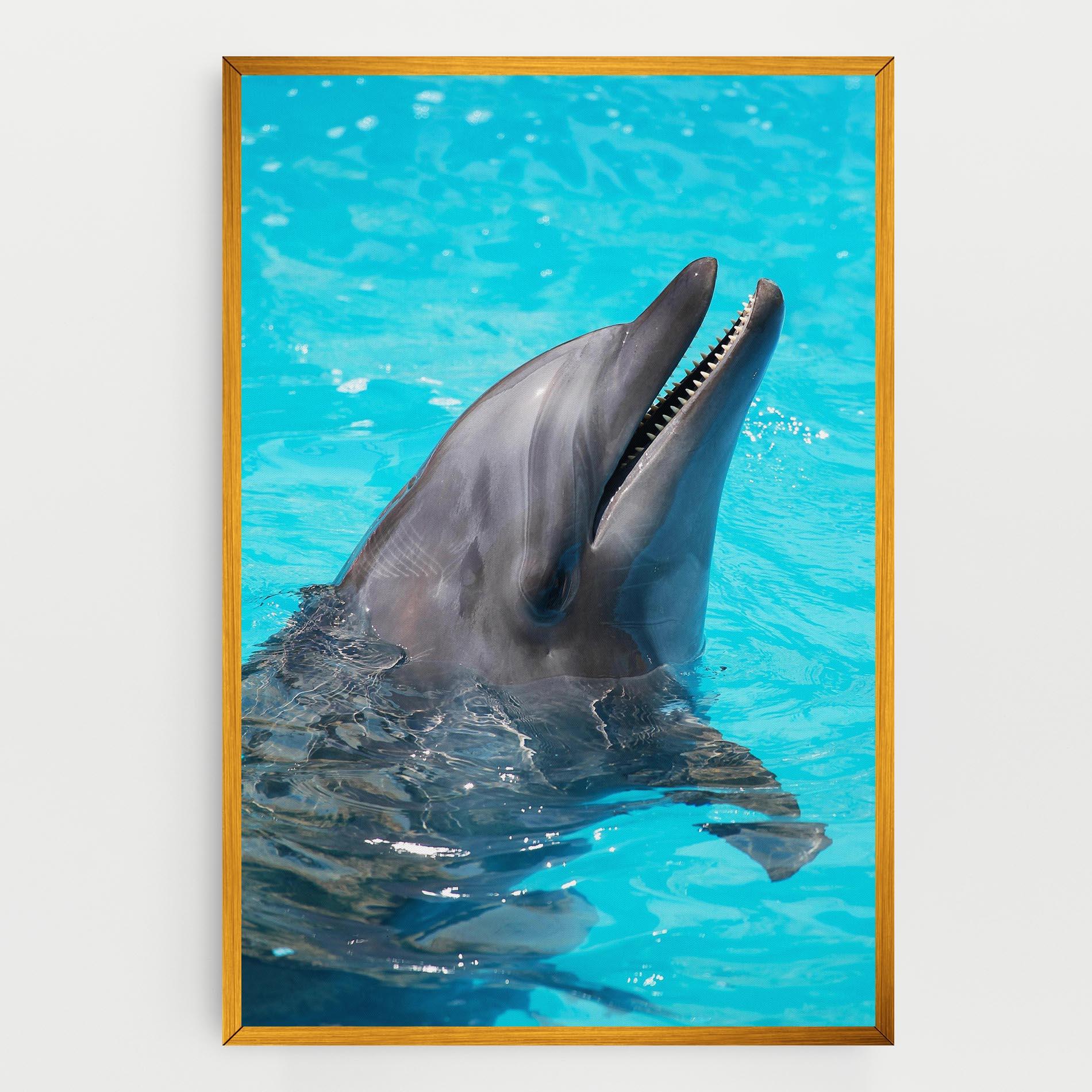 Tablou Canvas Trained Dolphin mockup 0