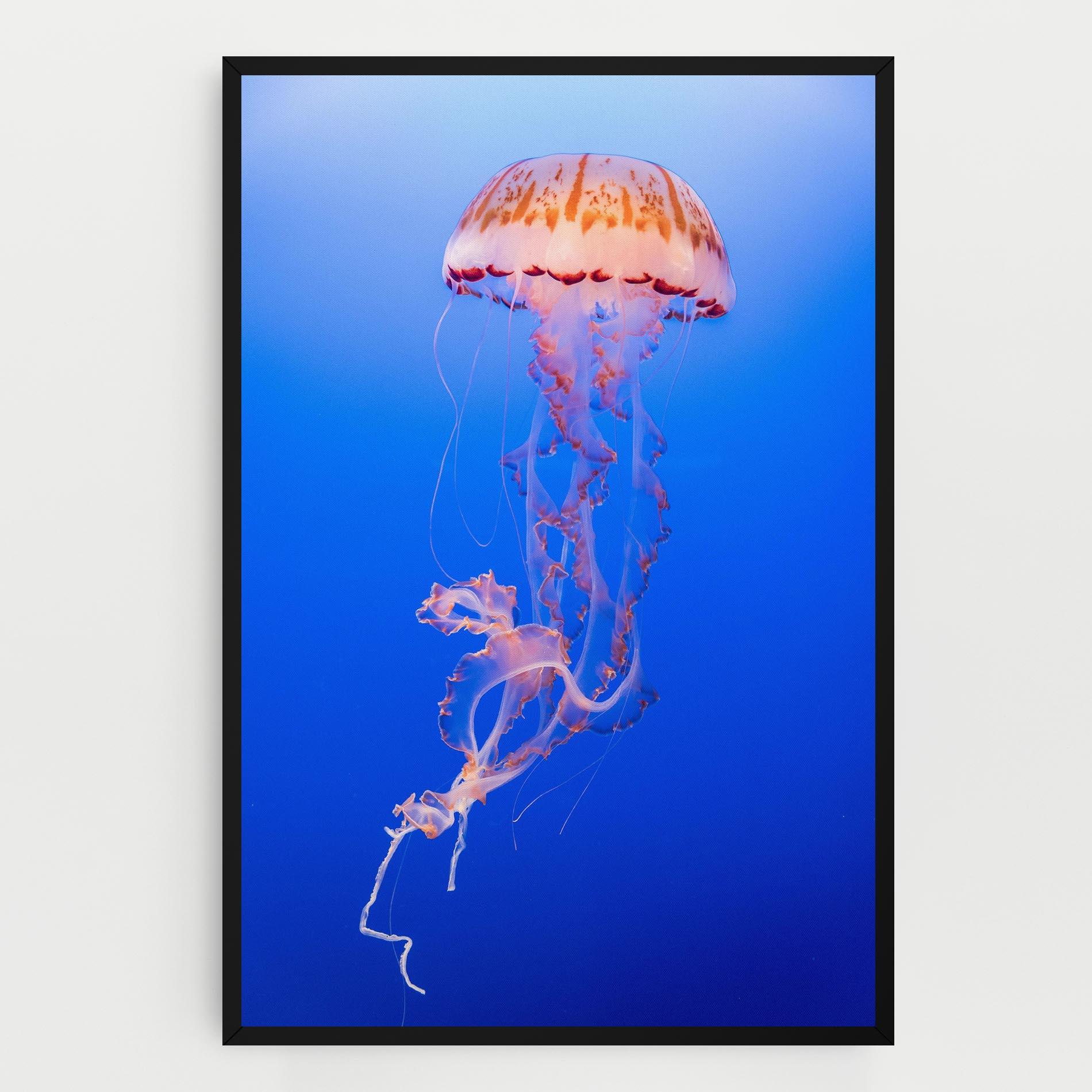 Tablou Canvas Pretty White Jellyfish mockup 0