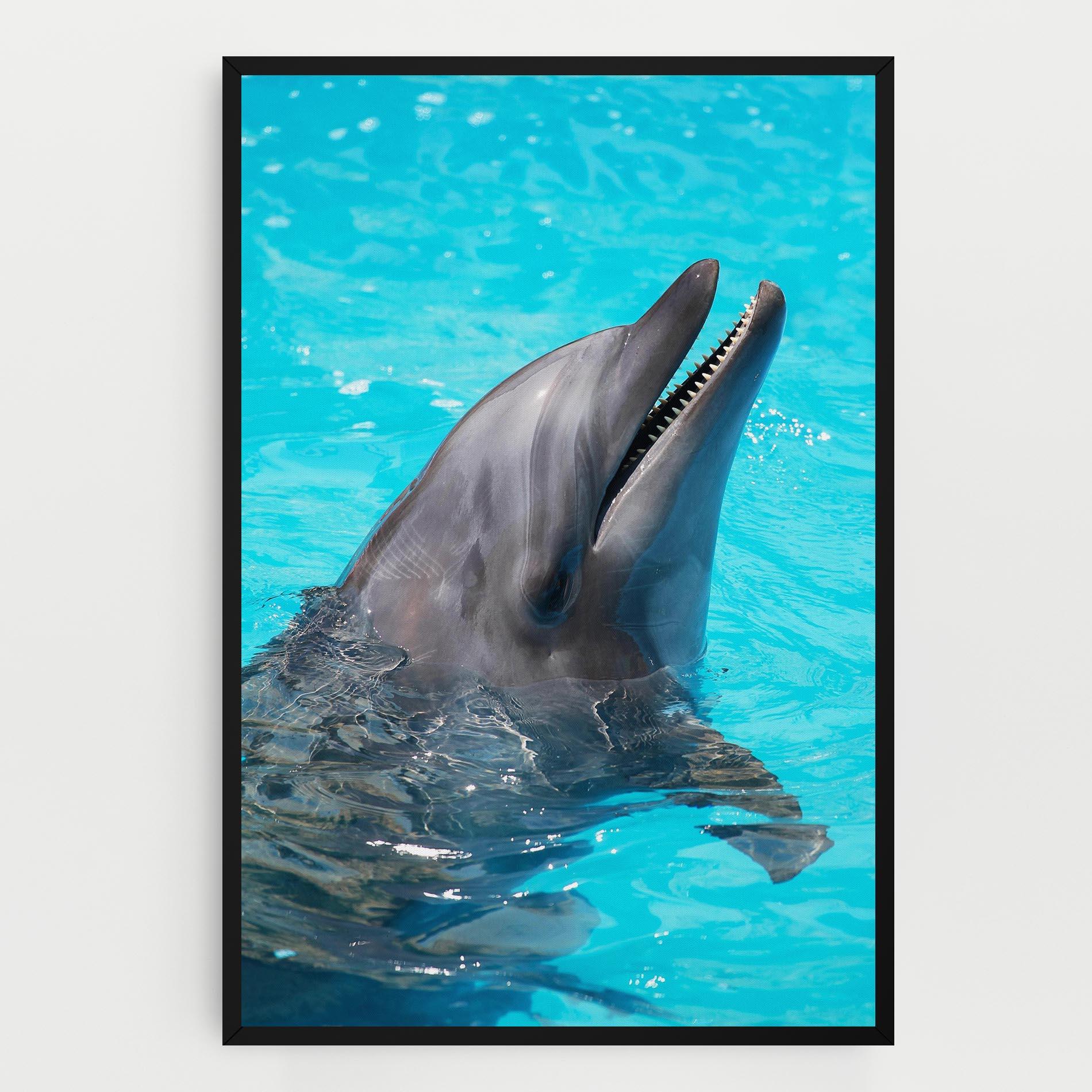 Tablou Canvas Trained Dolphin mockup 0