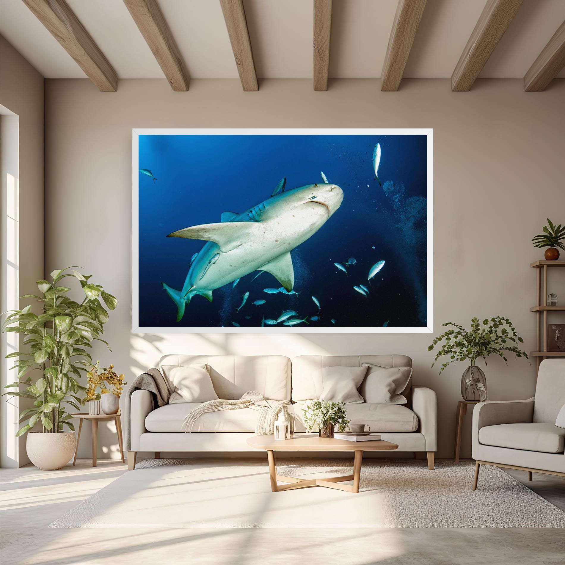 Bull Shark mockup 6