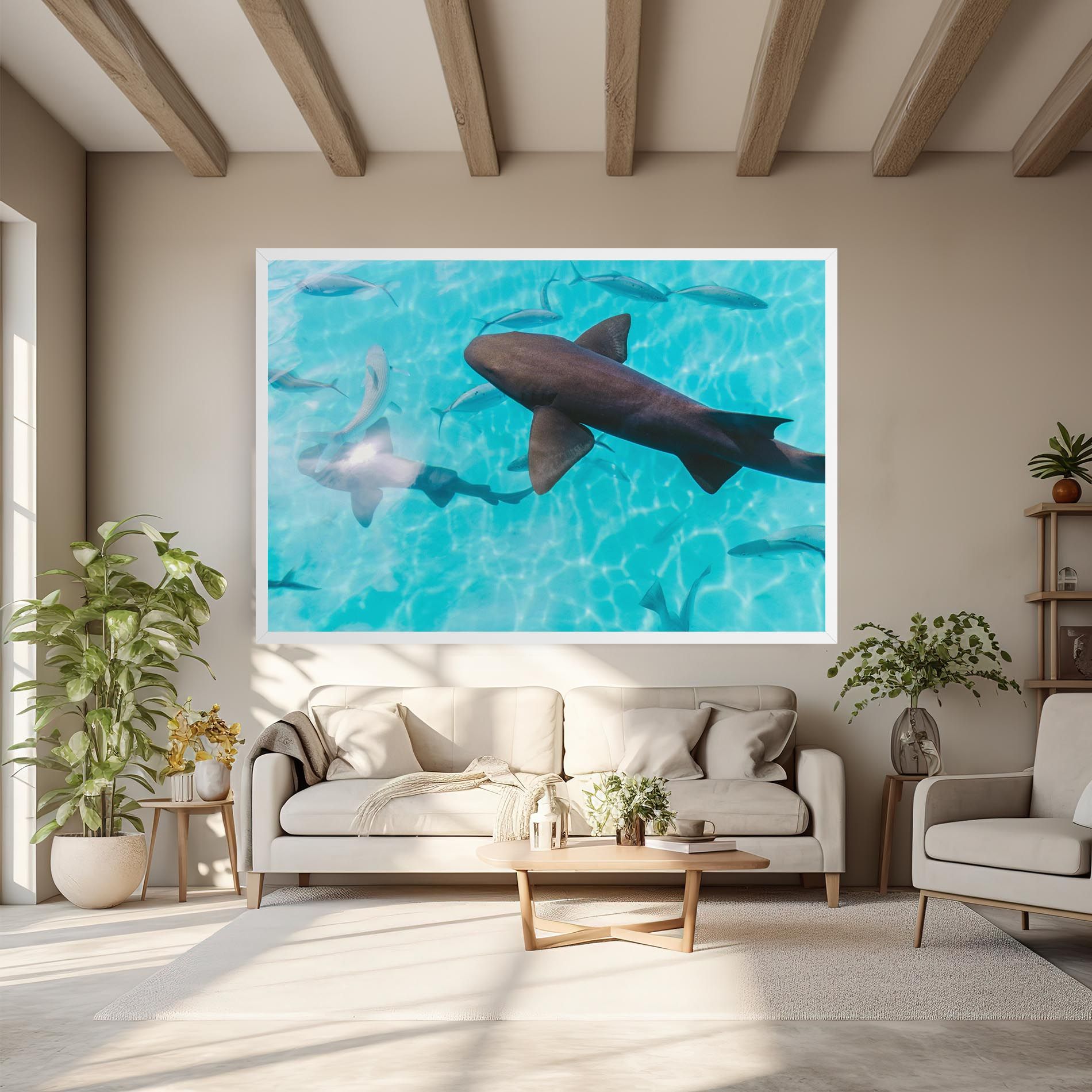Pretty Shark mockup 6