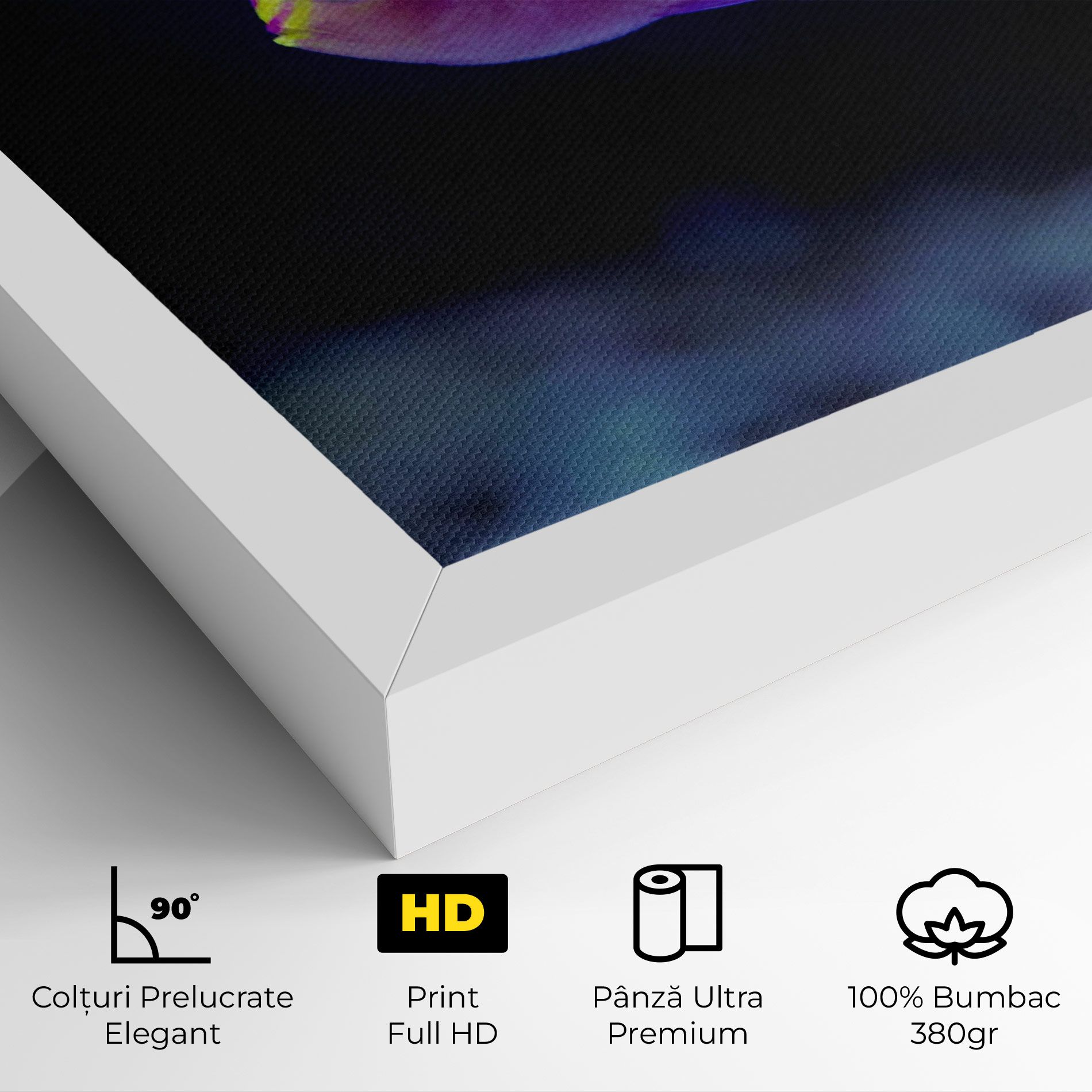 Angry Pink Fish mockup 4