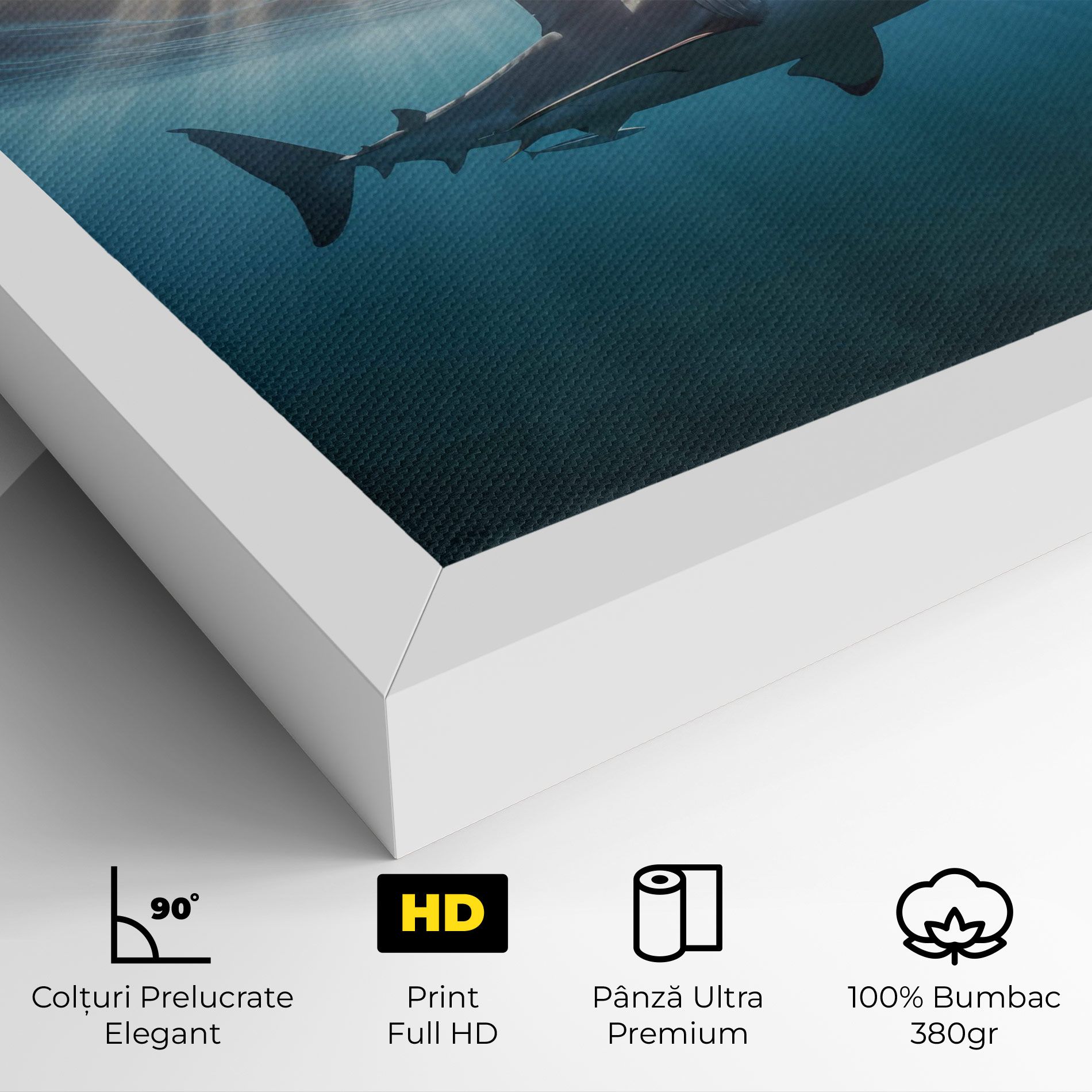 Big Shark mockup 4