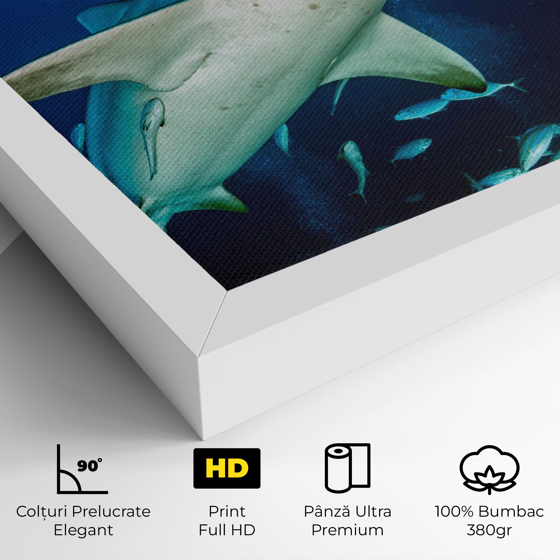 Bull Shark mockup 4