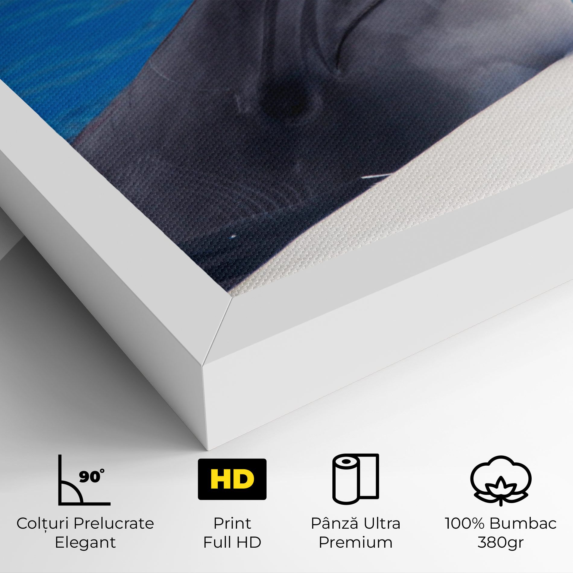 Cute Dolphin mockup 4