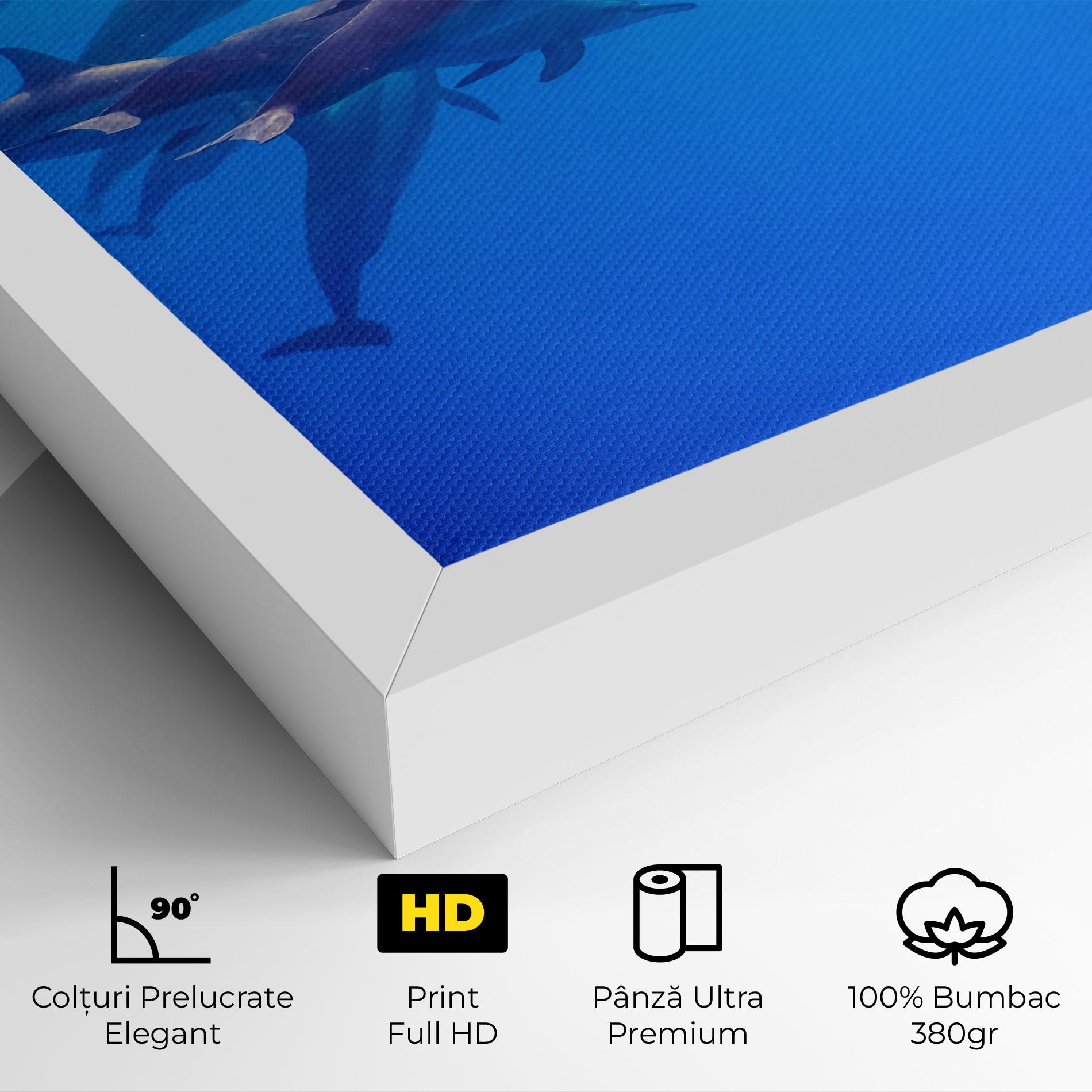 Tablou Canvas Dolphin Family mockup 4