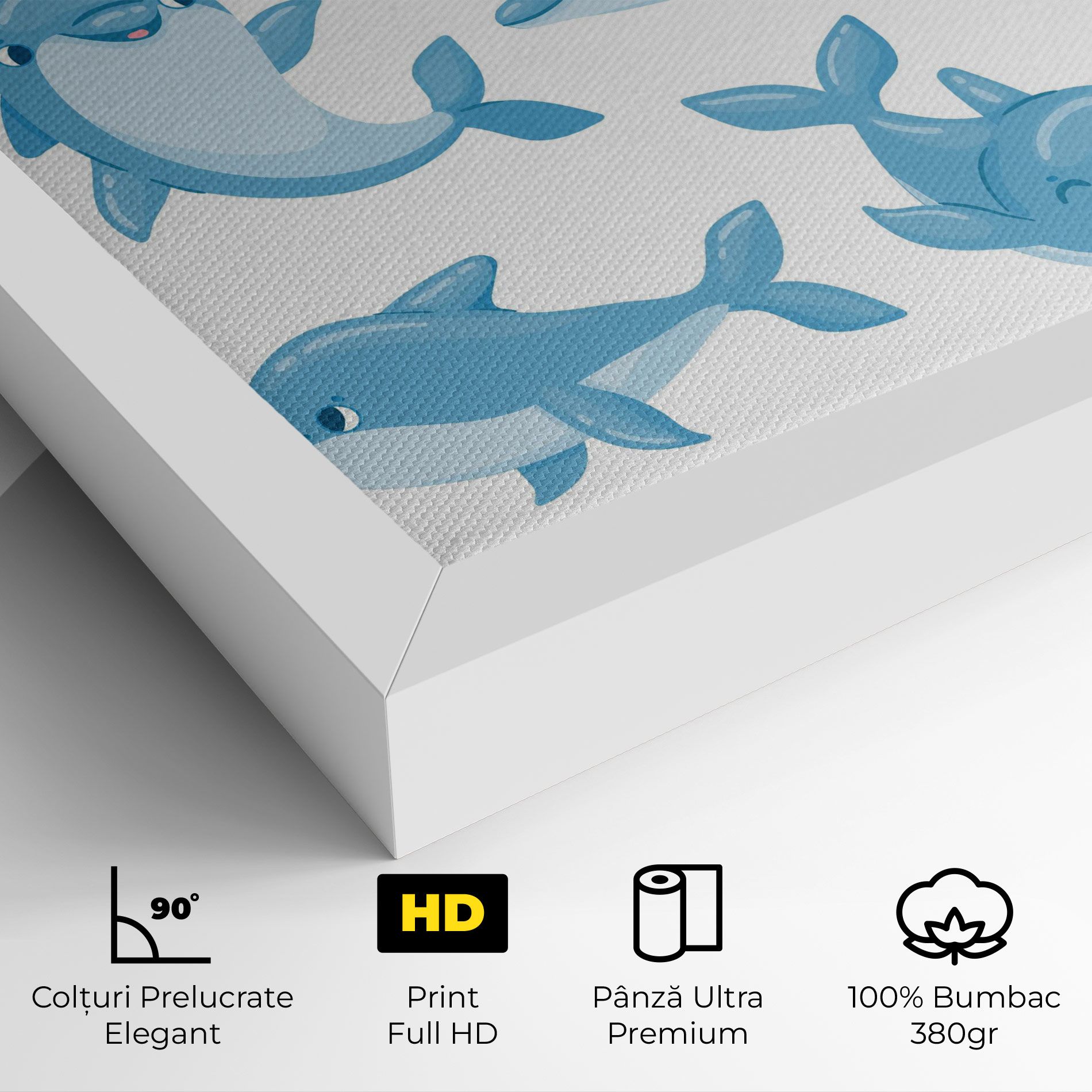 Dolphin mockup 4