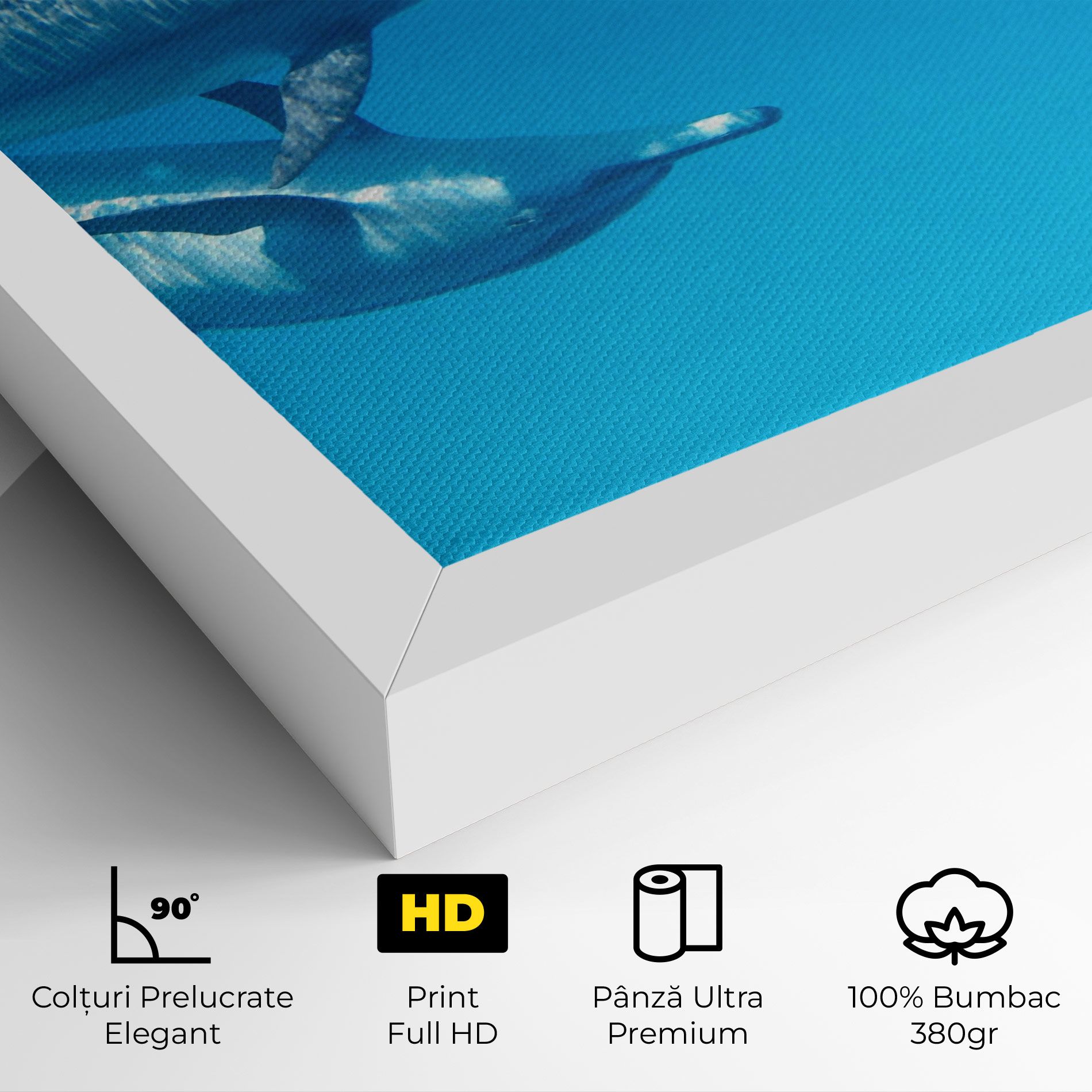 Family Of Dolphins mockup 4
