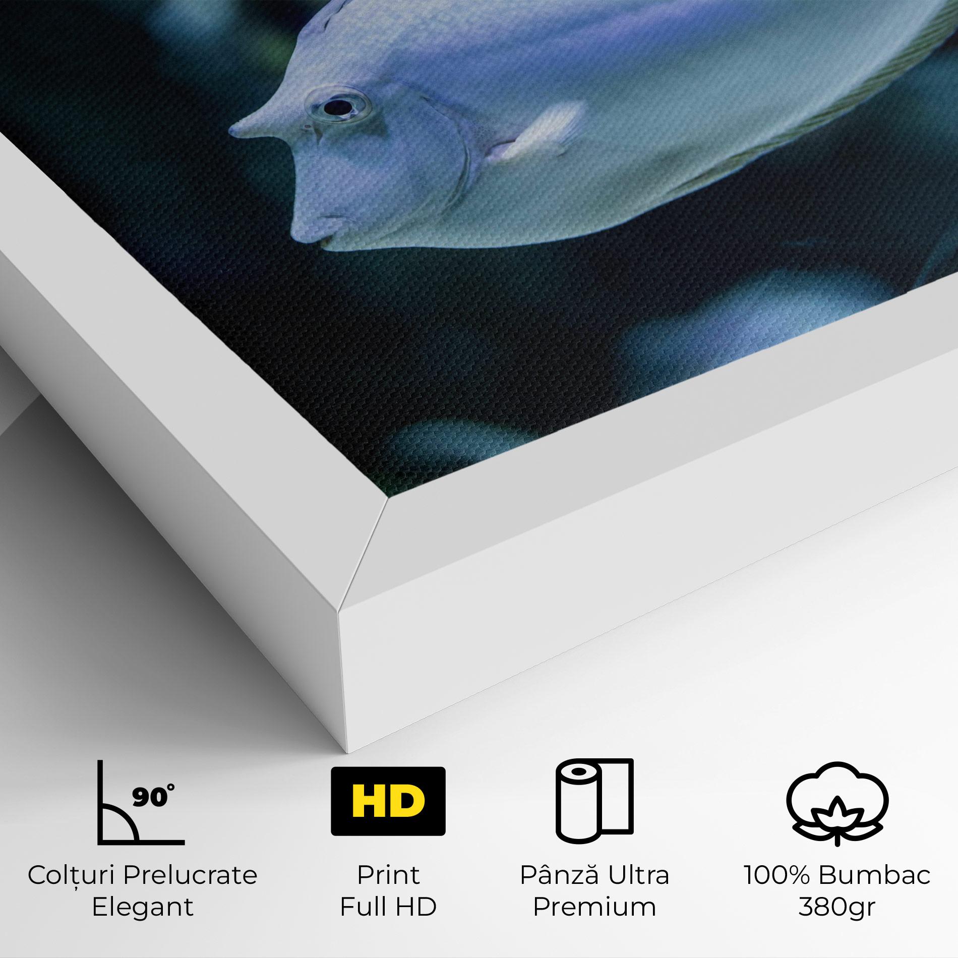 Tablou Canvas Funny Face Fish mockup 4