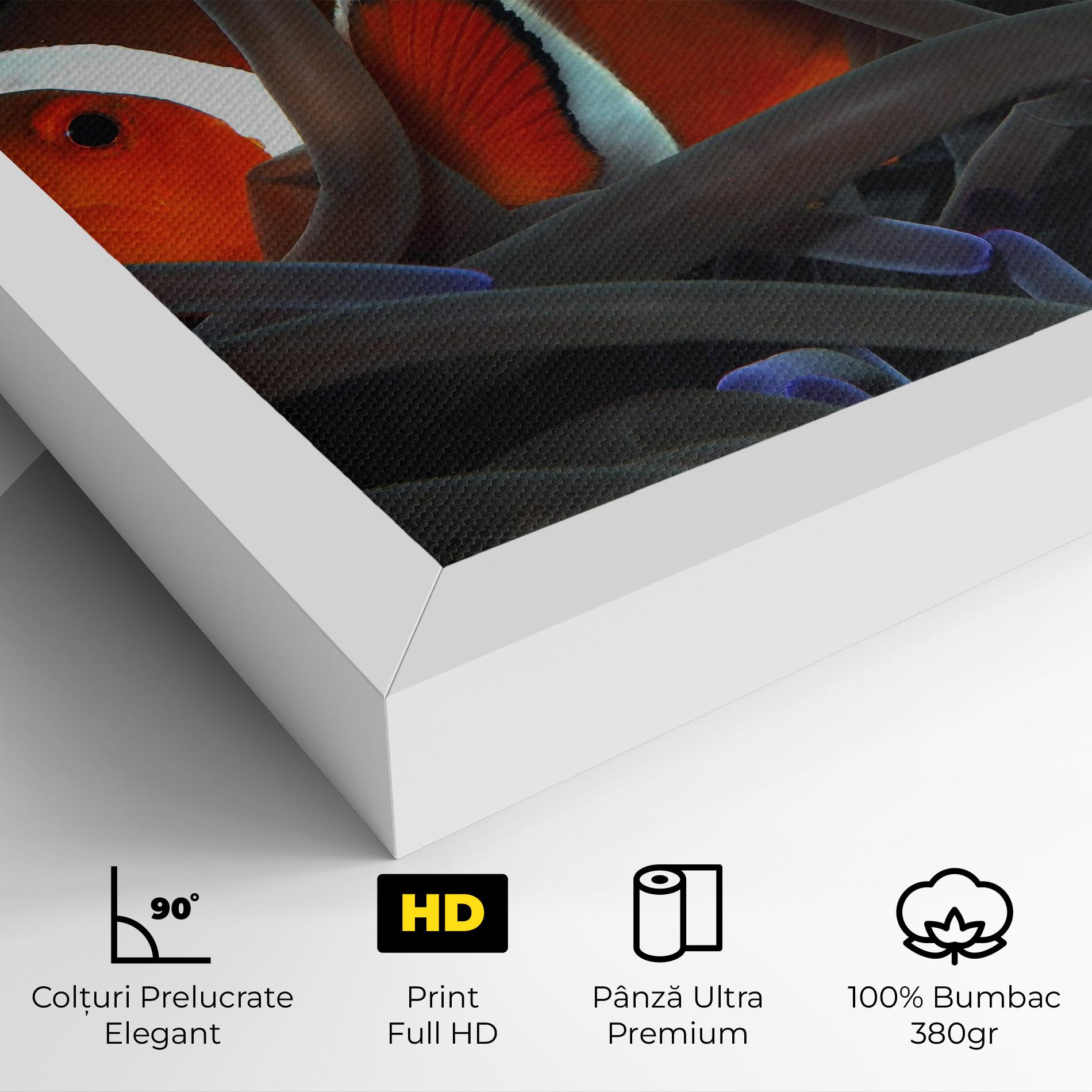 Tablou Canvas Nemo Hiding mockup 4