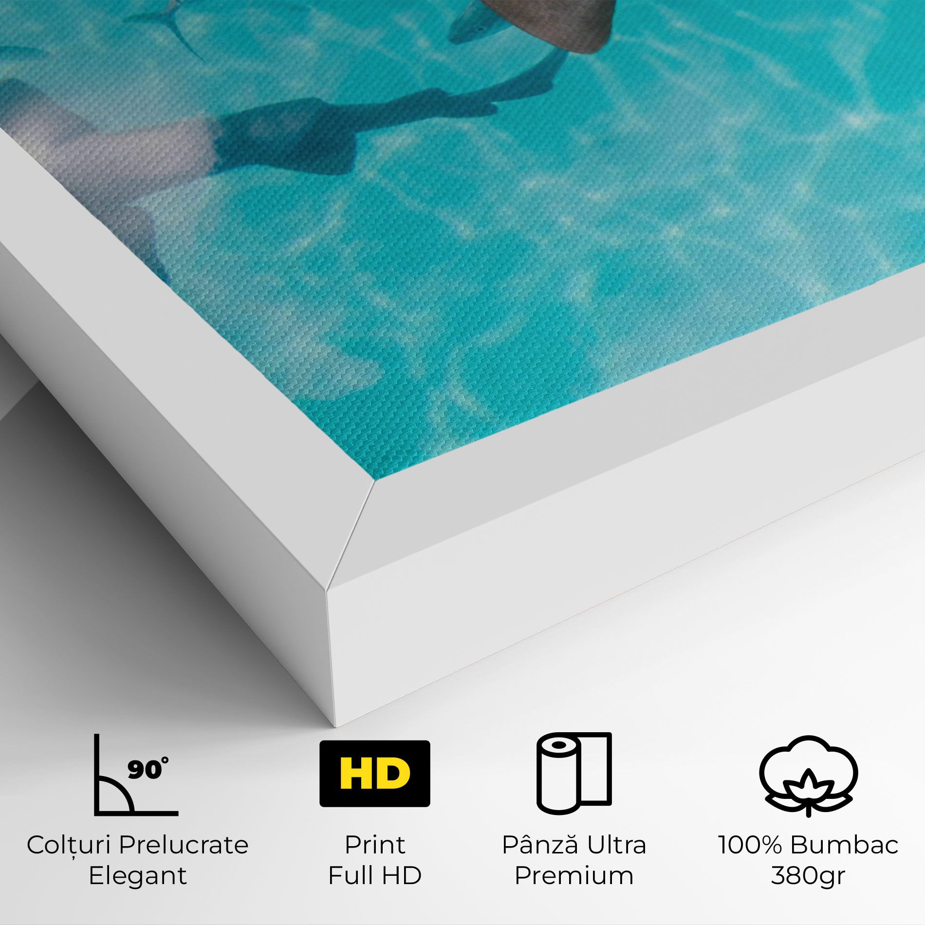 Pretty Shark mockup 4