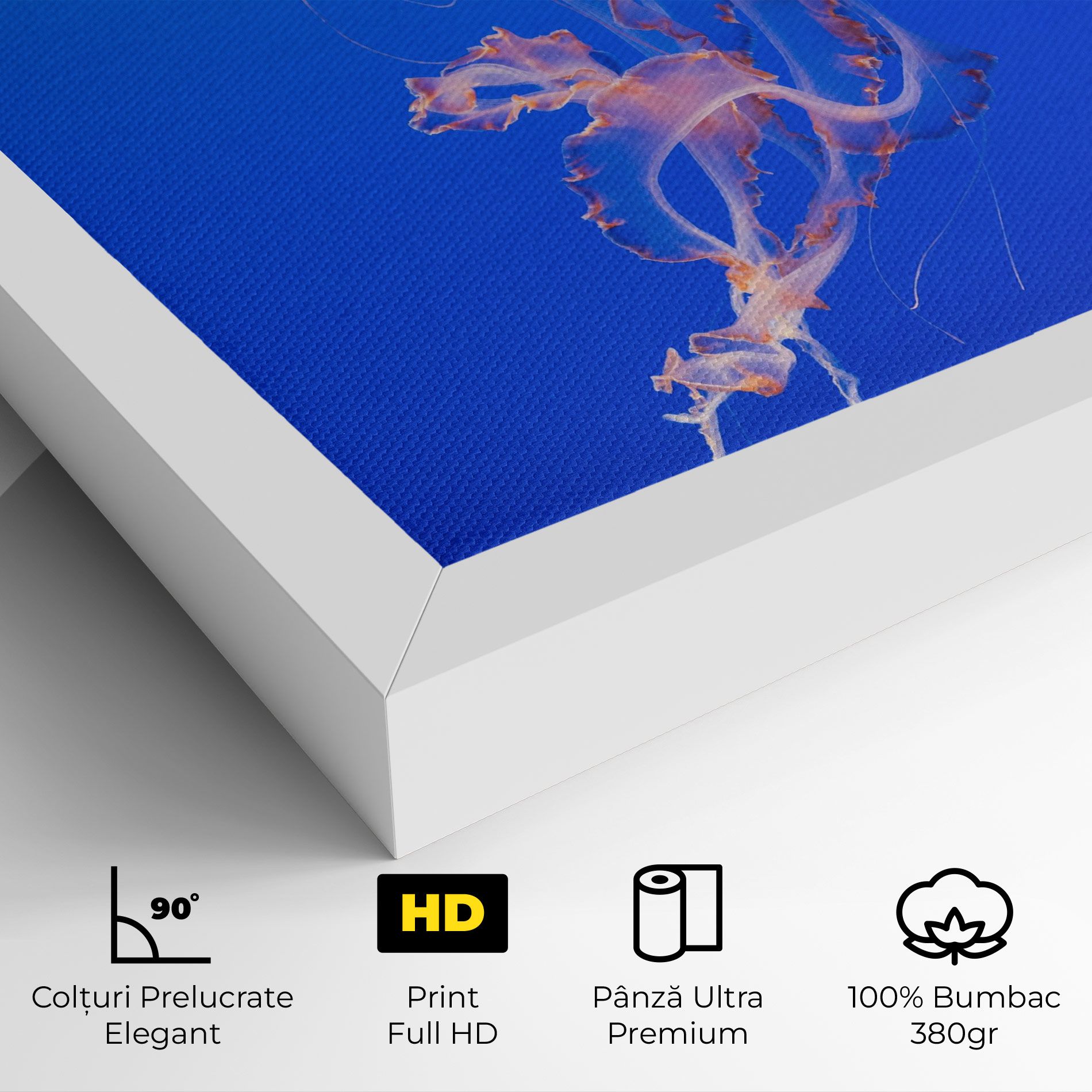 Pretty White Jellyfish mockup 4