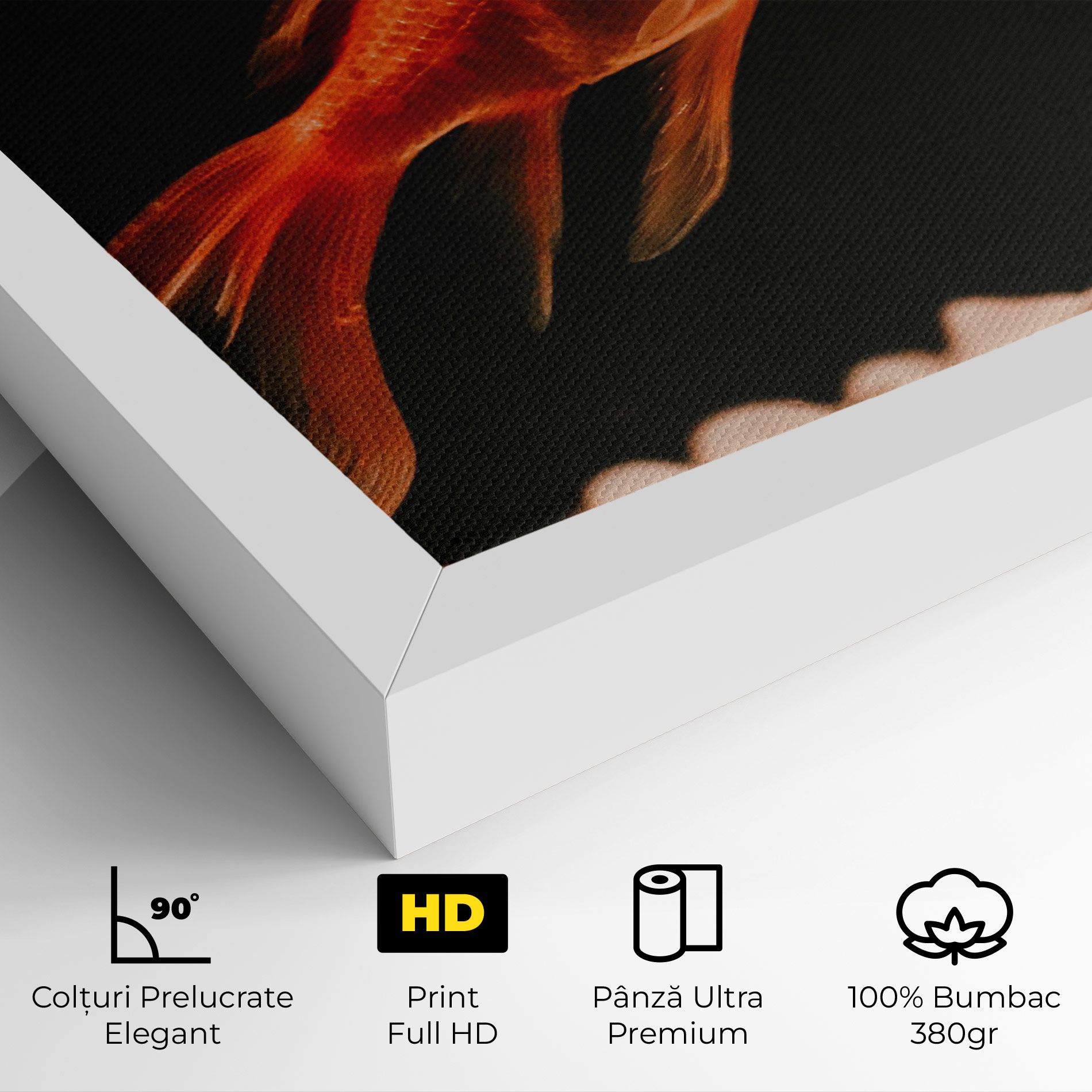 Small Orange Fish mockup 4