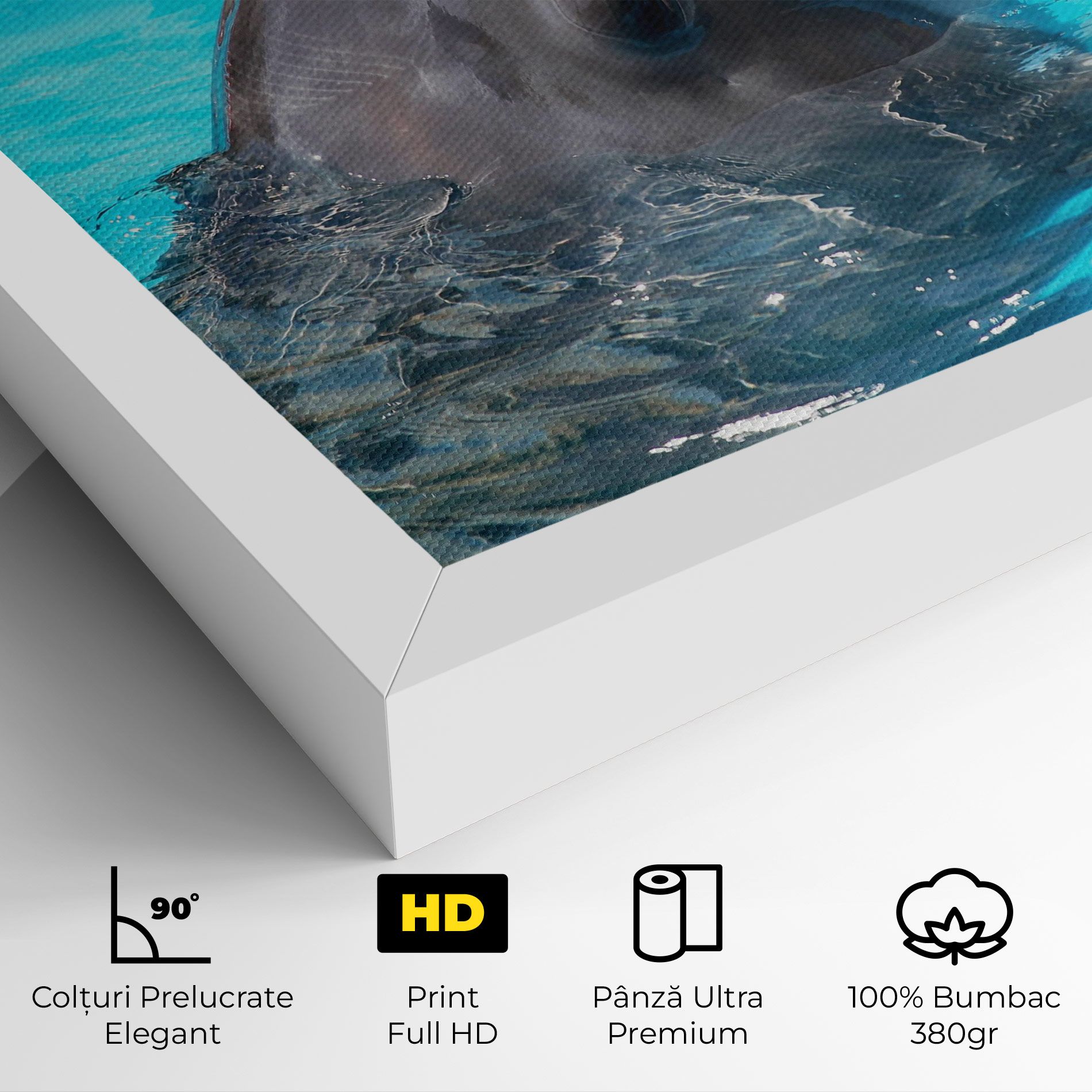 Trained Dolphin mockup 4