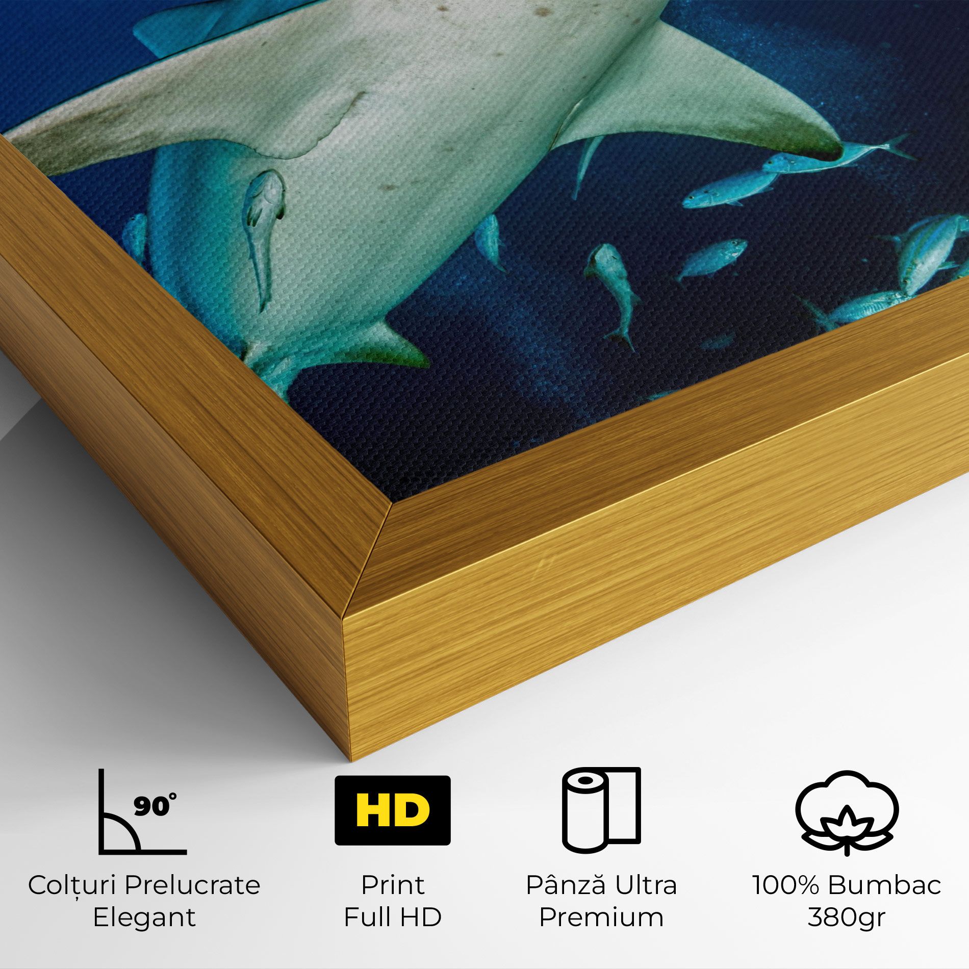 Bull Shark mockup 4