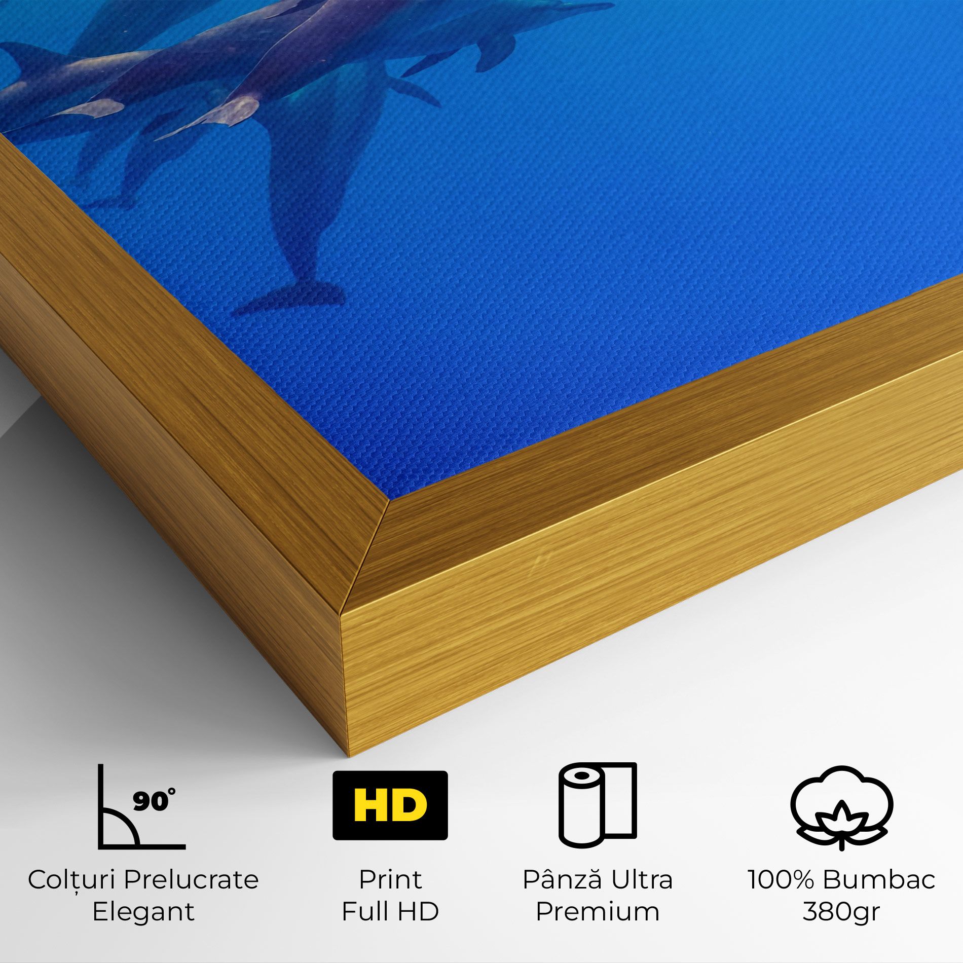 Dolphin Family mockup 4