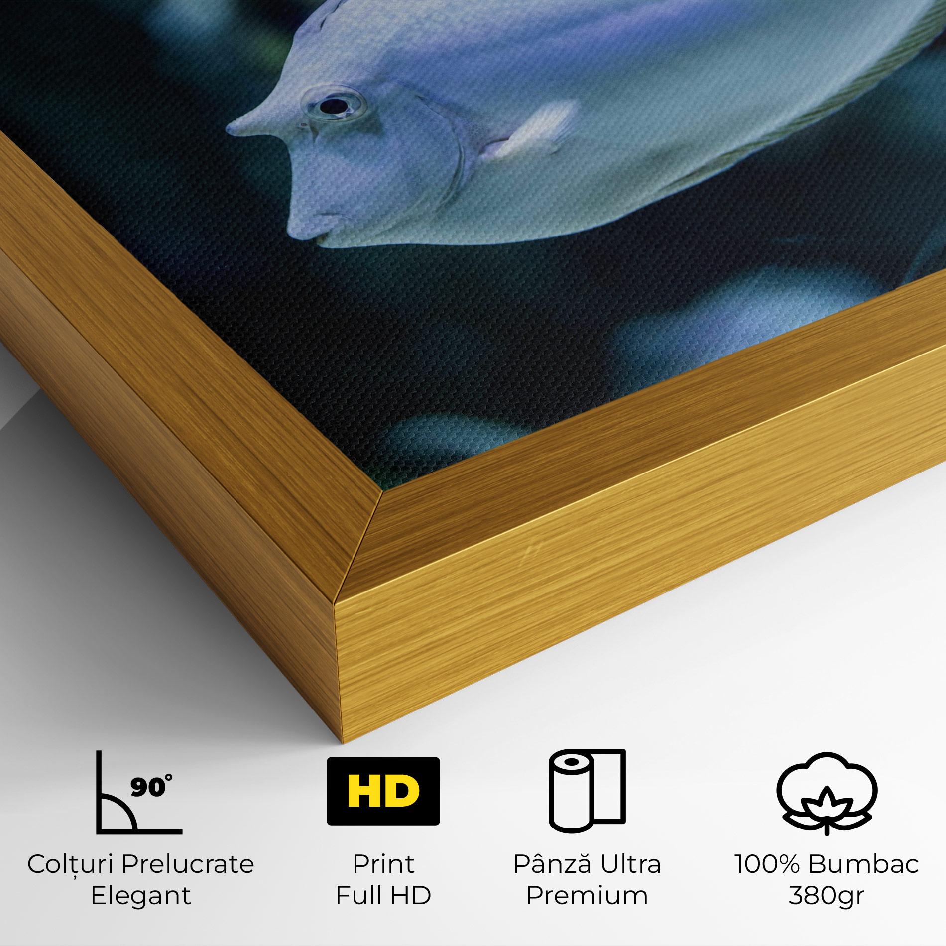 Tablou Canvas Funny Face Fish mockup 4