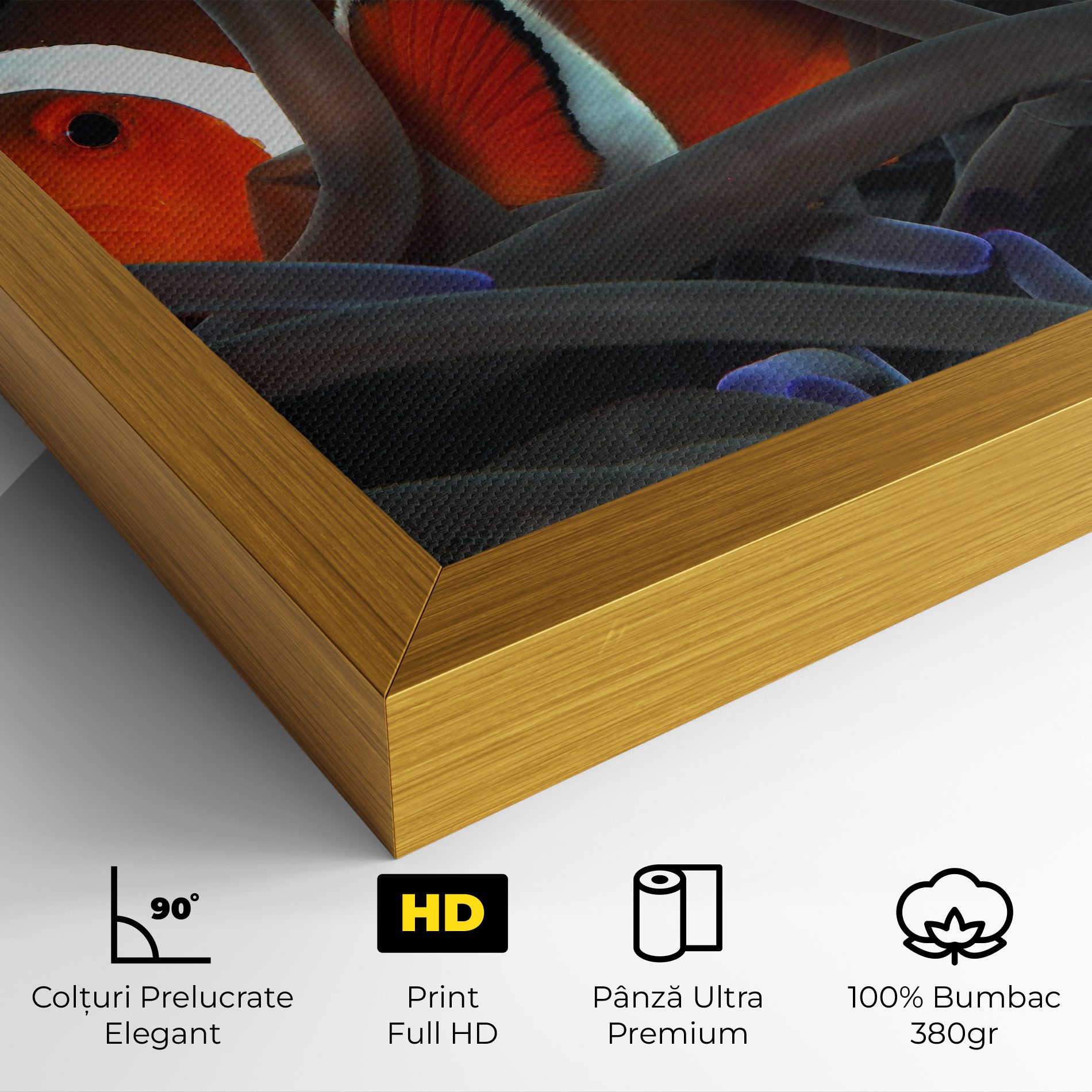 Nemo Hiding mockup 4