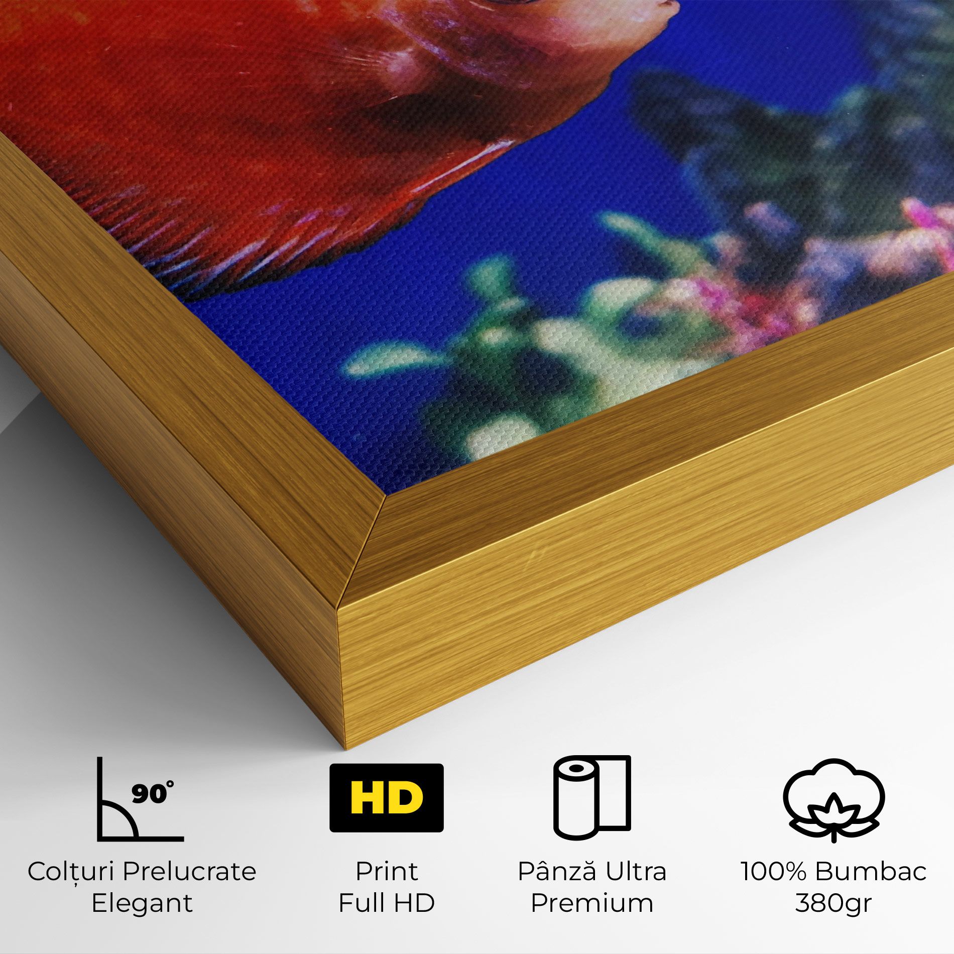 Pretty Orange Fish mockup 4