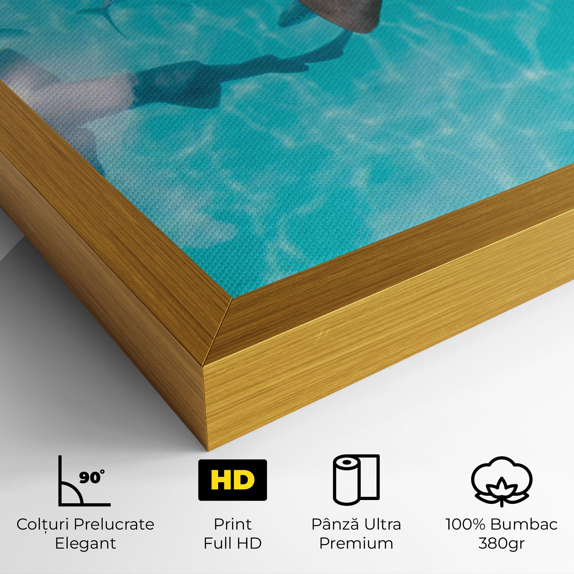 Pretty Shark mockup 4