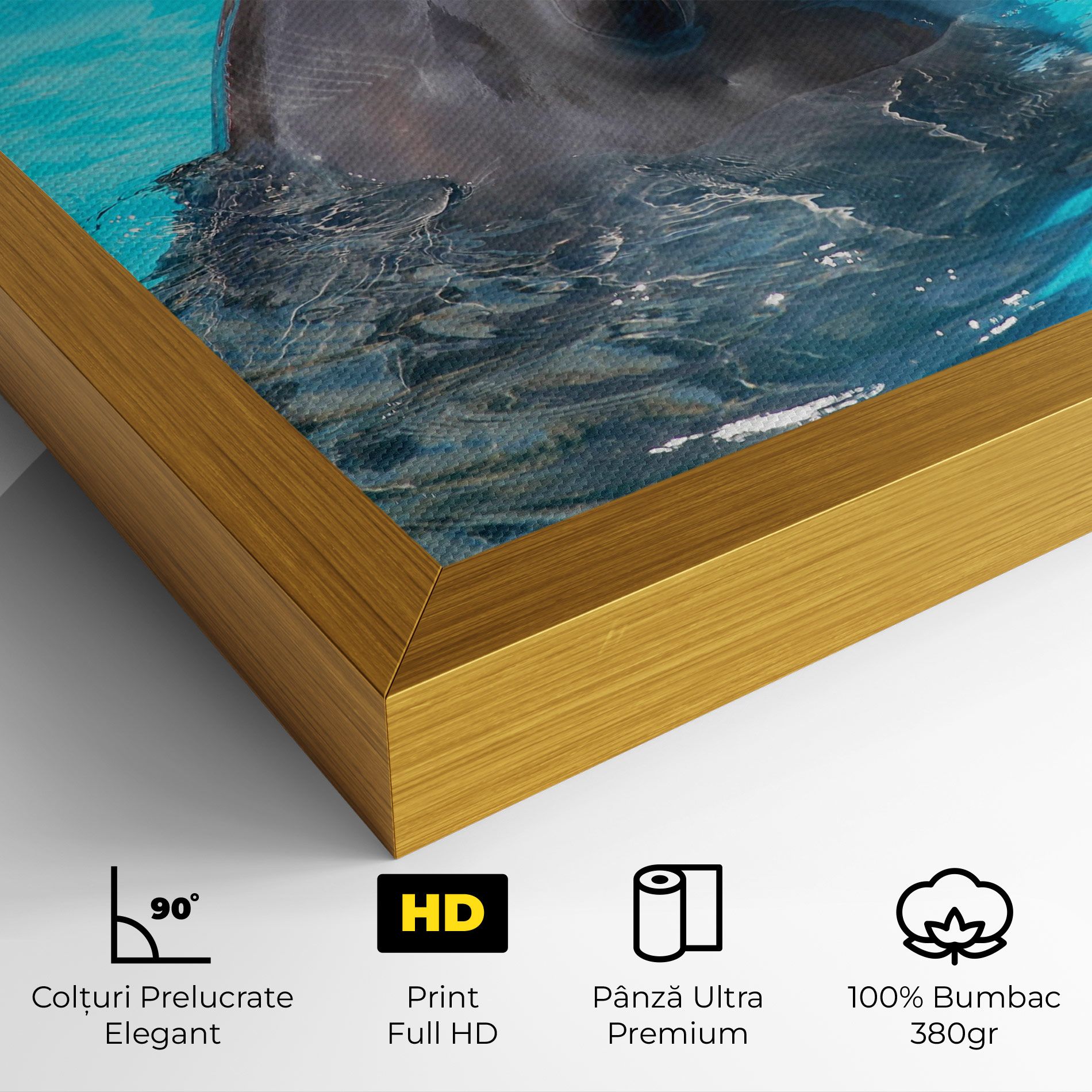 Trained Dolphin mockup 4