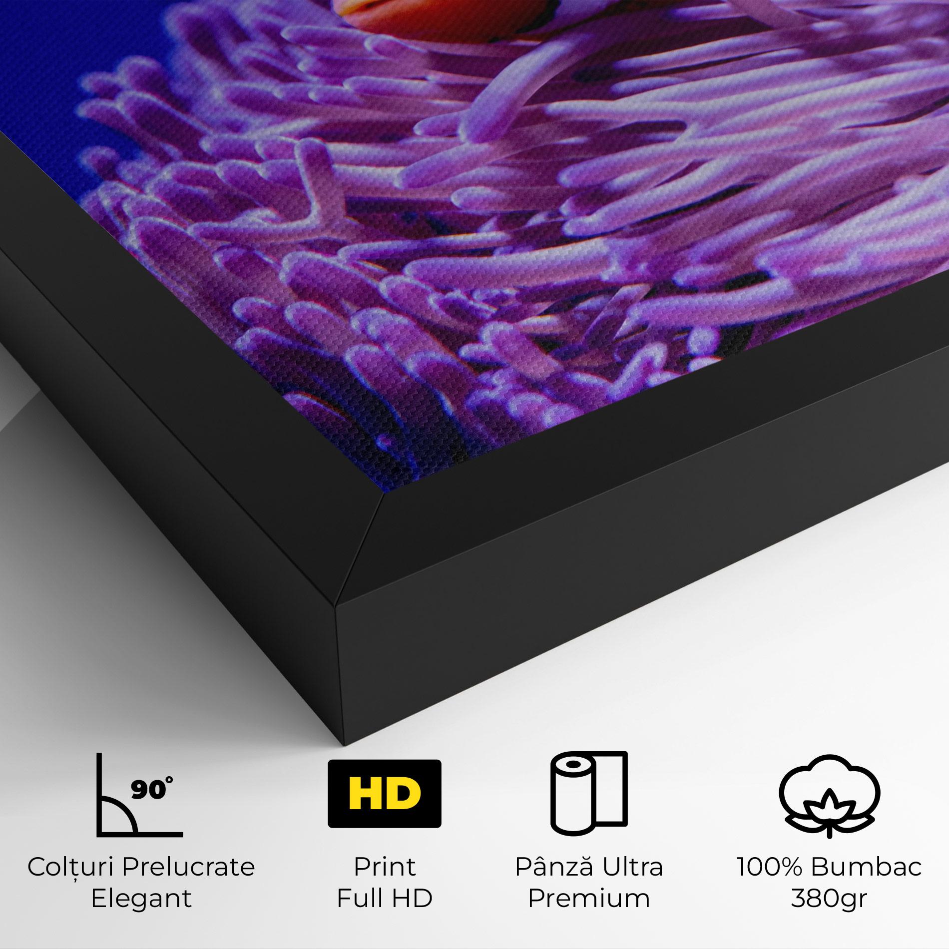 Tablou Canvas Angry Nemo mockup 4