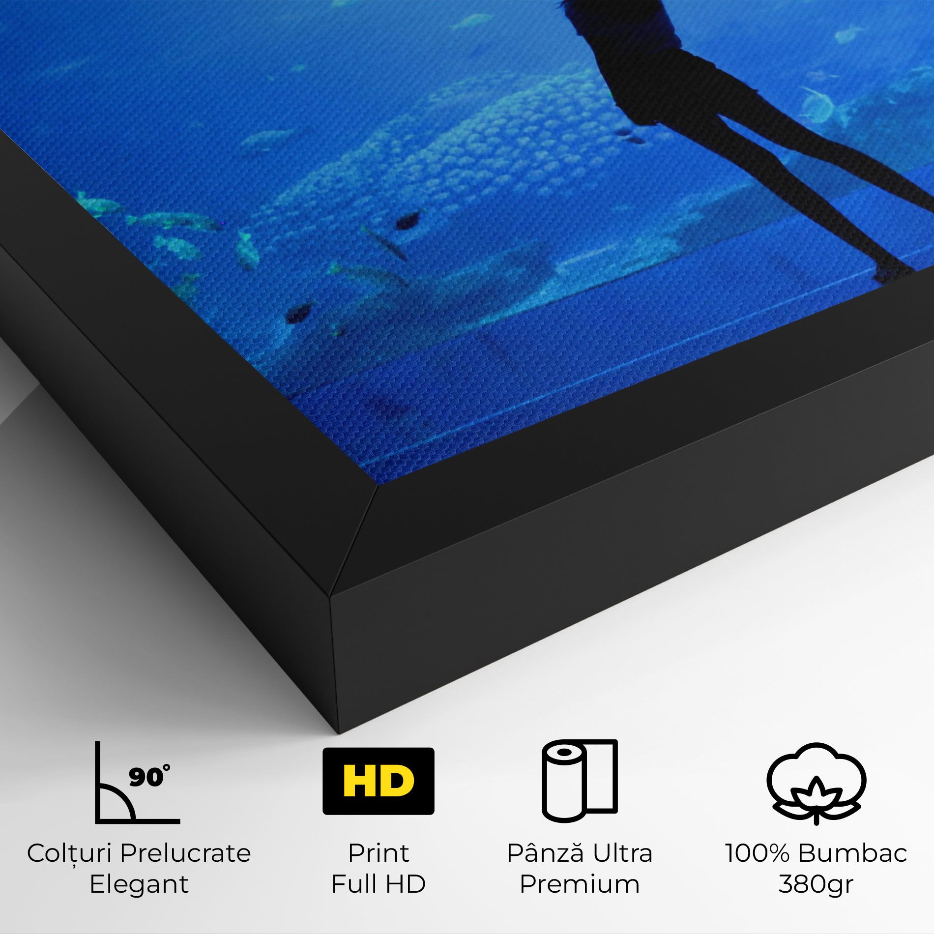 Aquarium Girl mockup 4