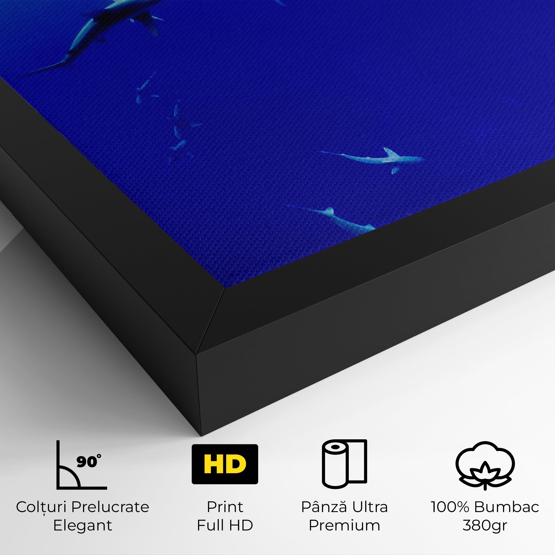 Baby Sharks mockup 4