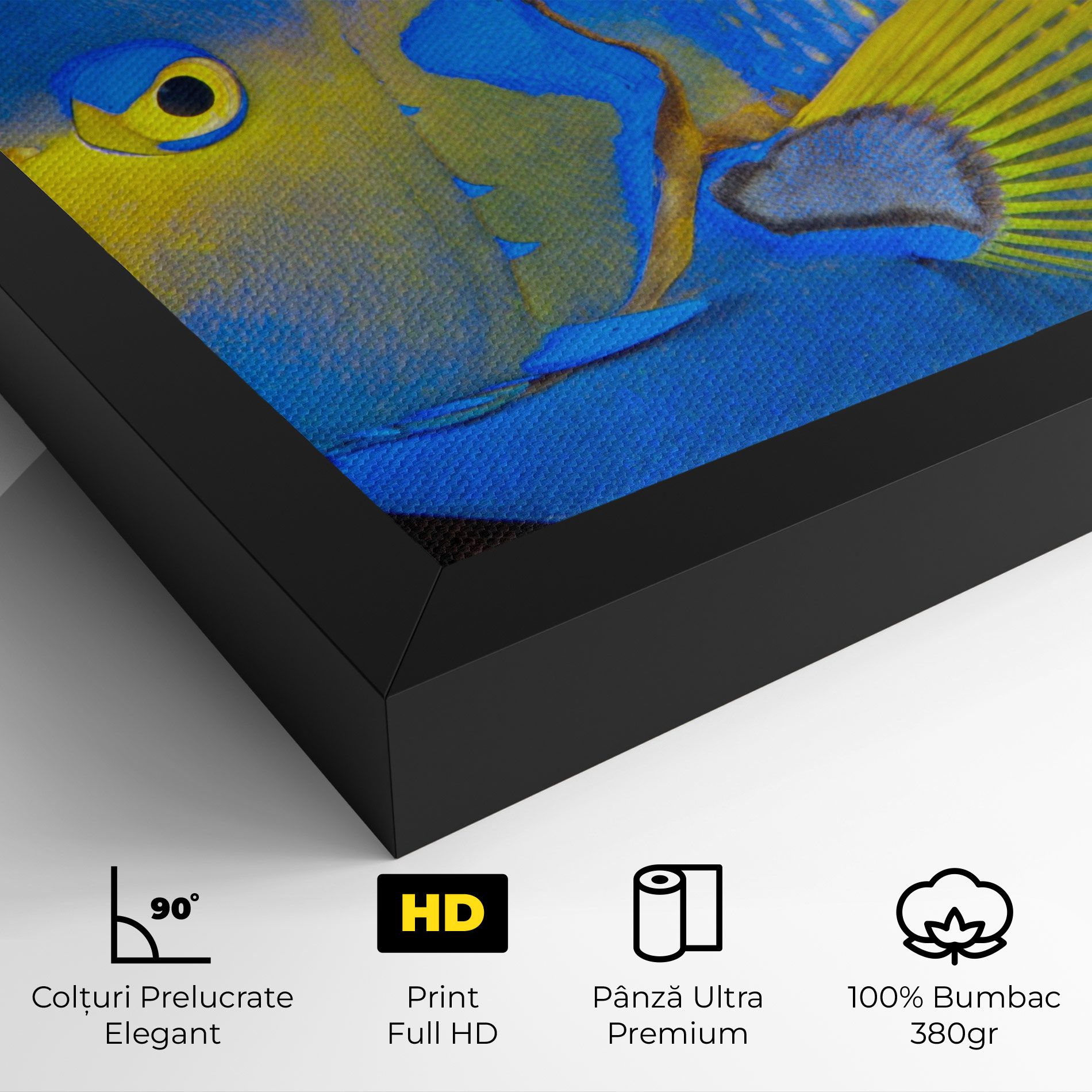 Blue Yellow Fish mockup 4