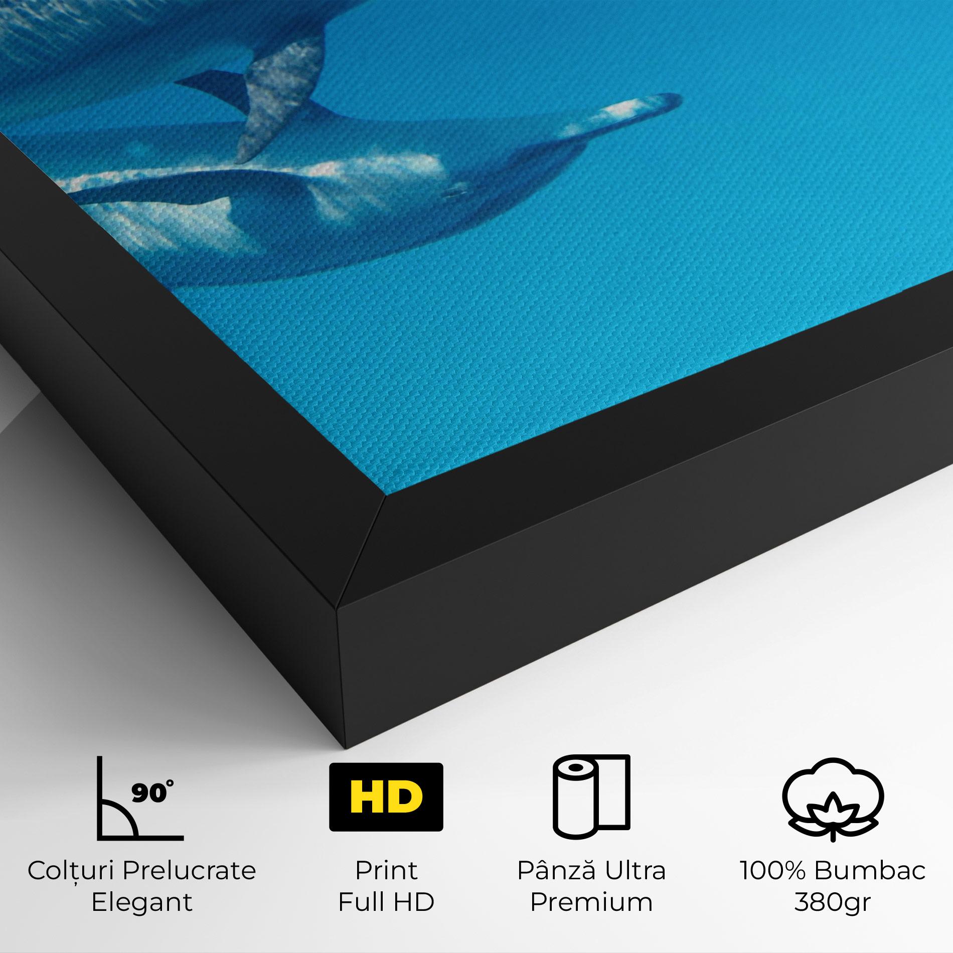Tablou Canvas Family Of Dolphins mockup 4