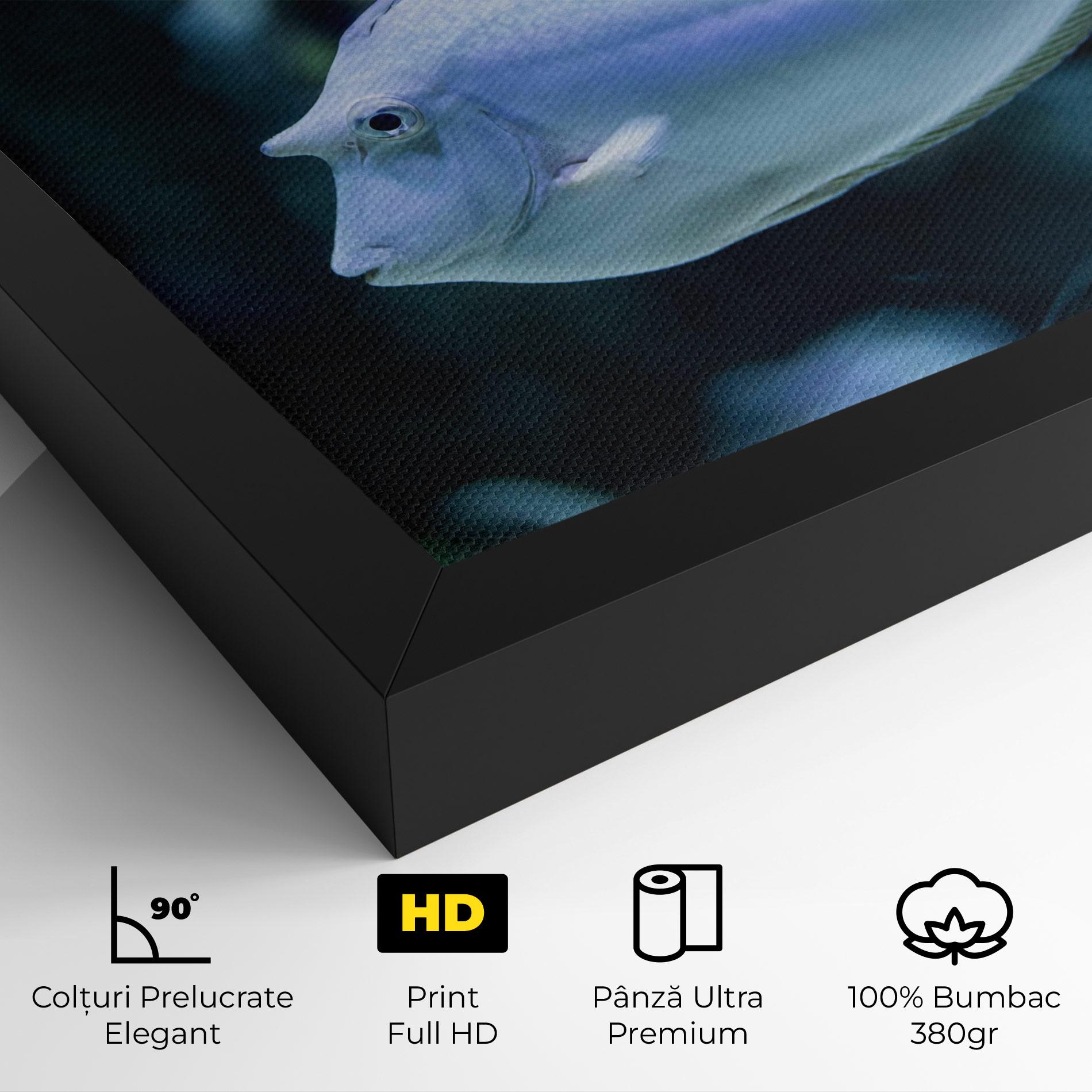 Tablou Canvas Funny Face Fish mockup 4