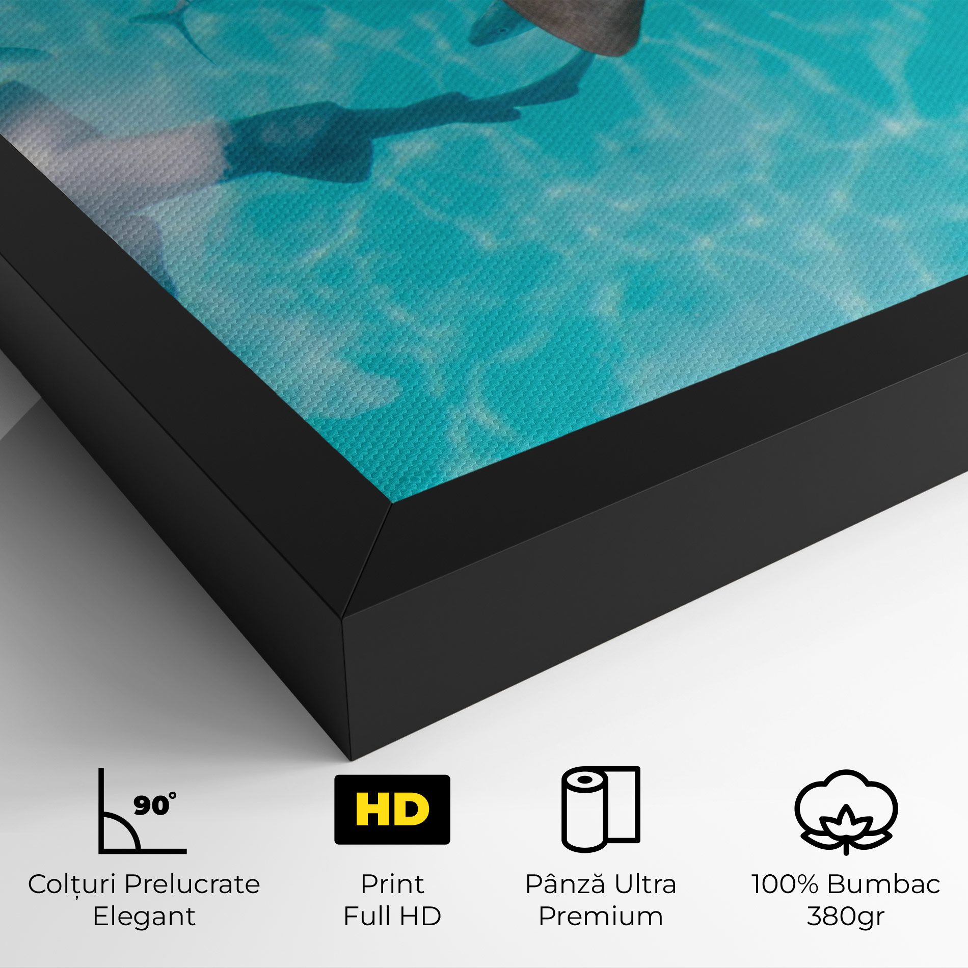 Pretty Shark mockup 4