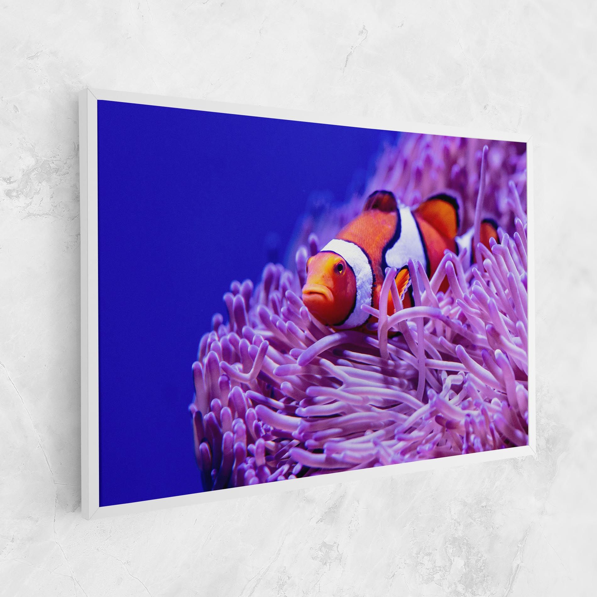 Angry Nemo mockup 1