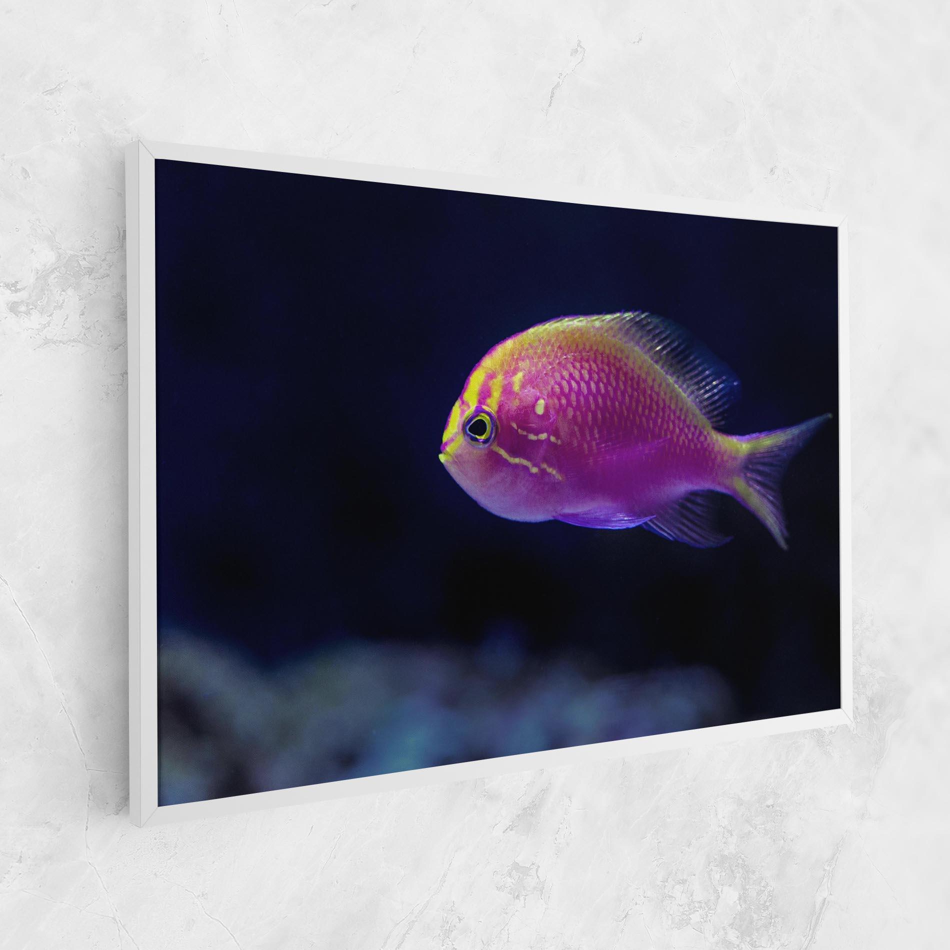Tablou Canvas Angry Pink Fish mockup 1