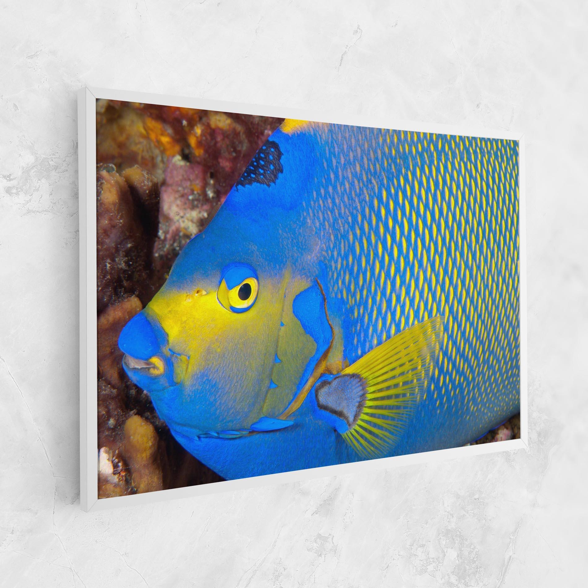 Tablou Canvas Blue Yellow Fish mockup 1