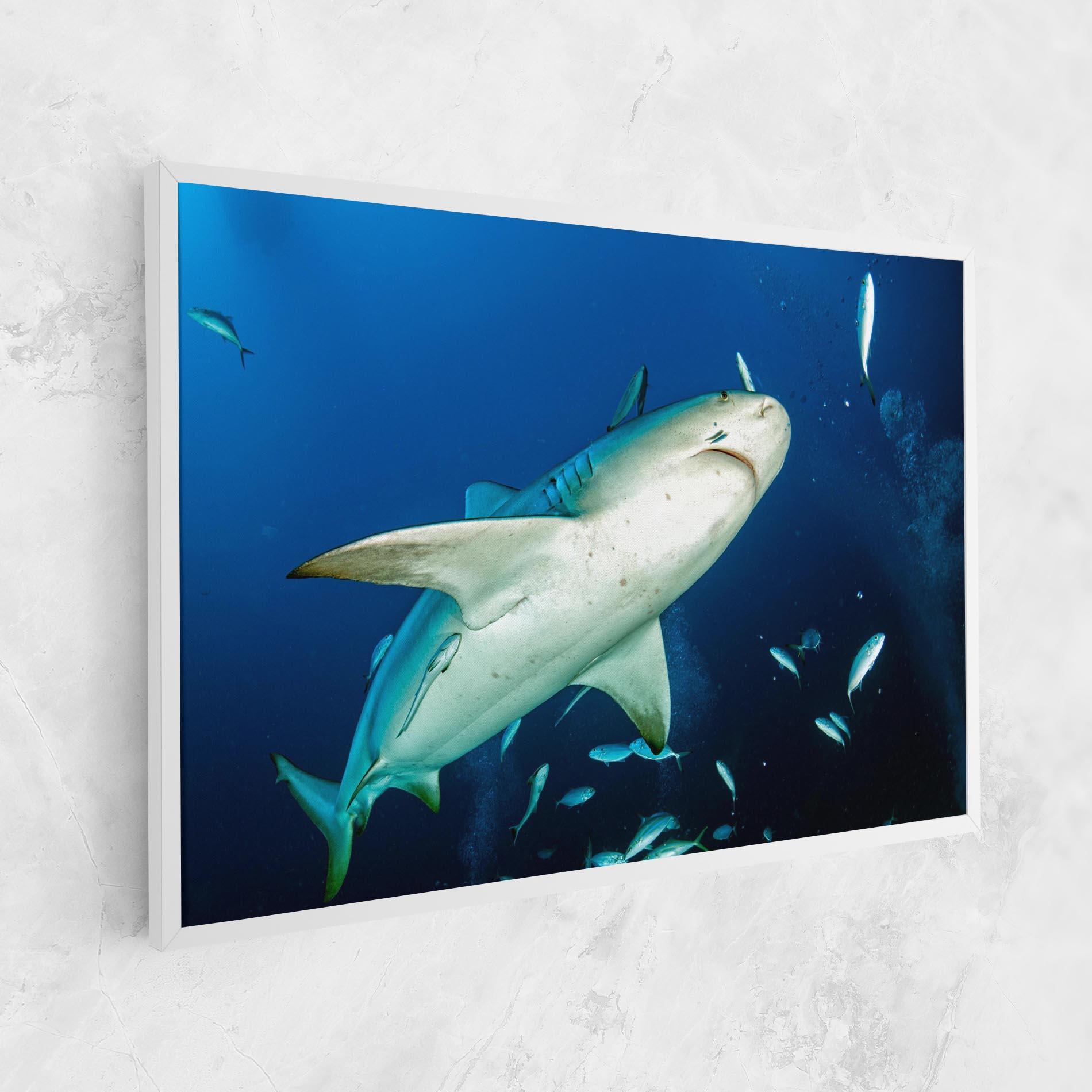 Tablou Canvas Bull Shark mockup 1